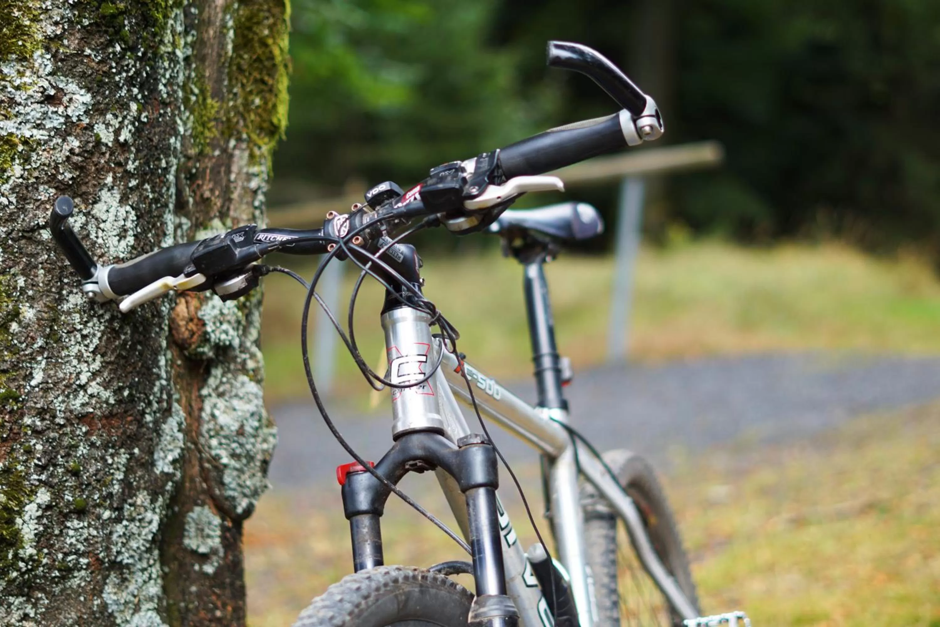 Cycling in Hotel Beck
