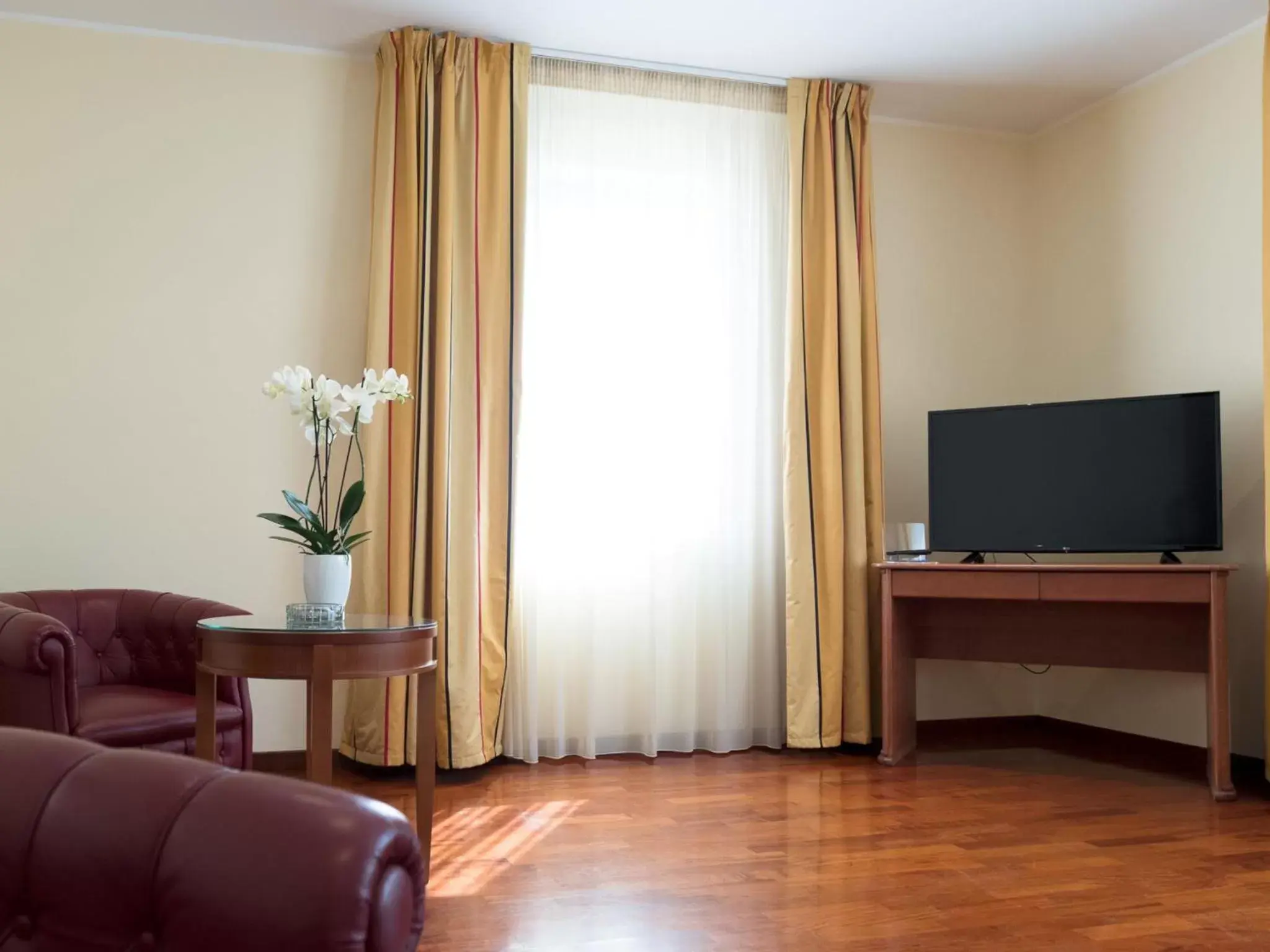 Living room, TV/Entertainment Center in Appia Antica Hotel