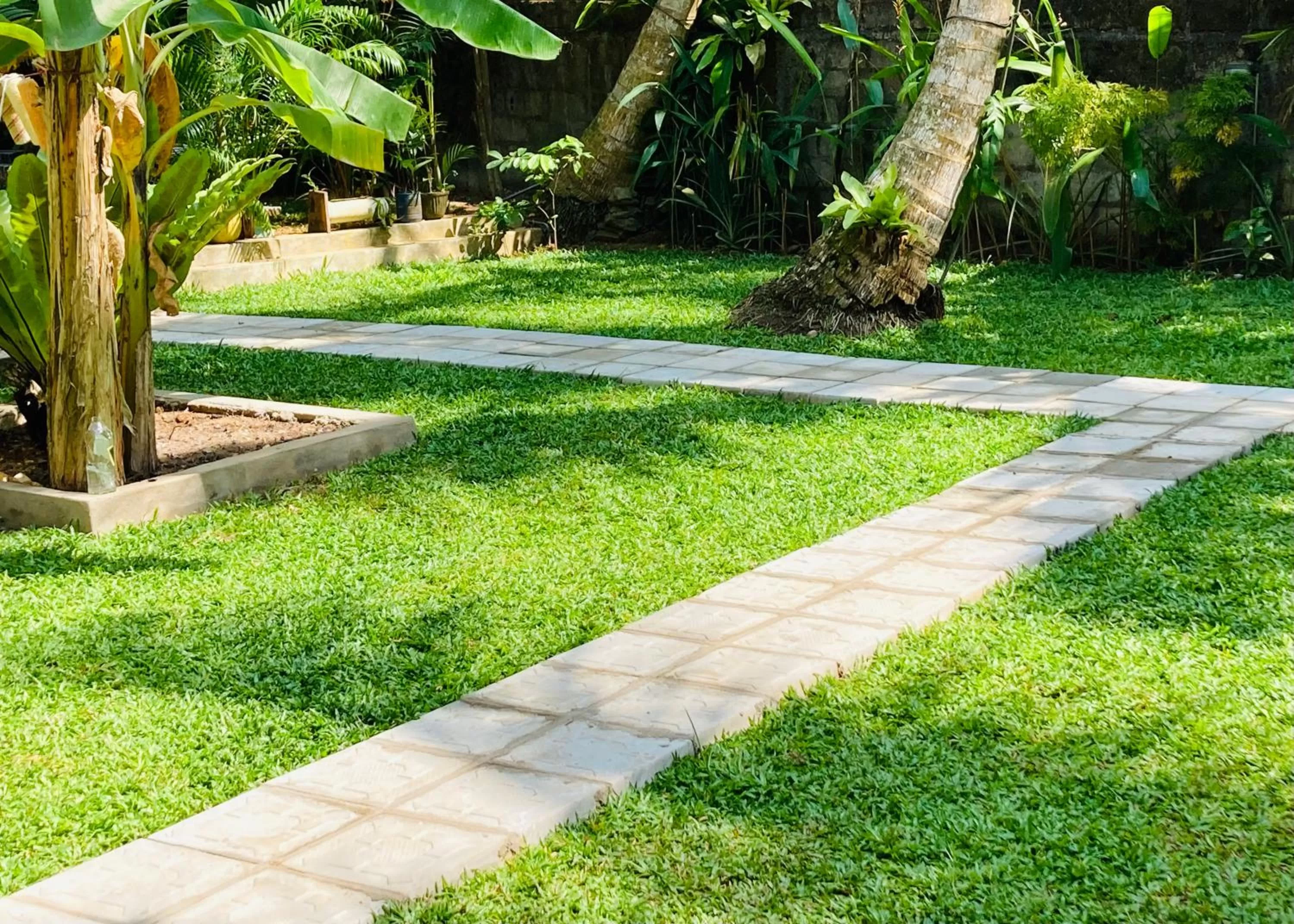 Garden in Manel Villa