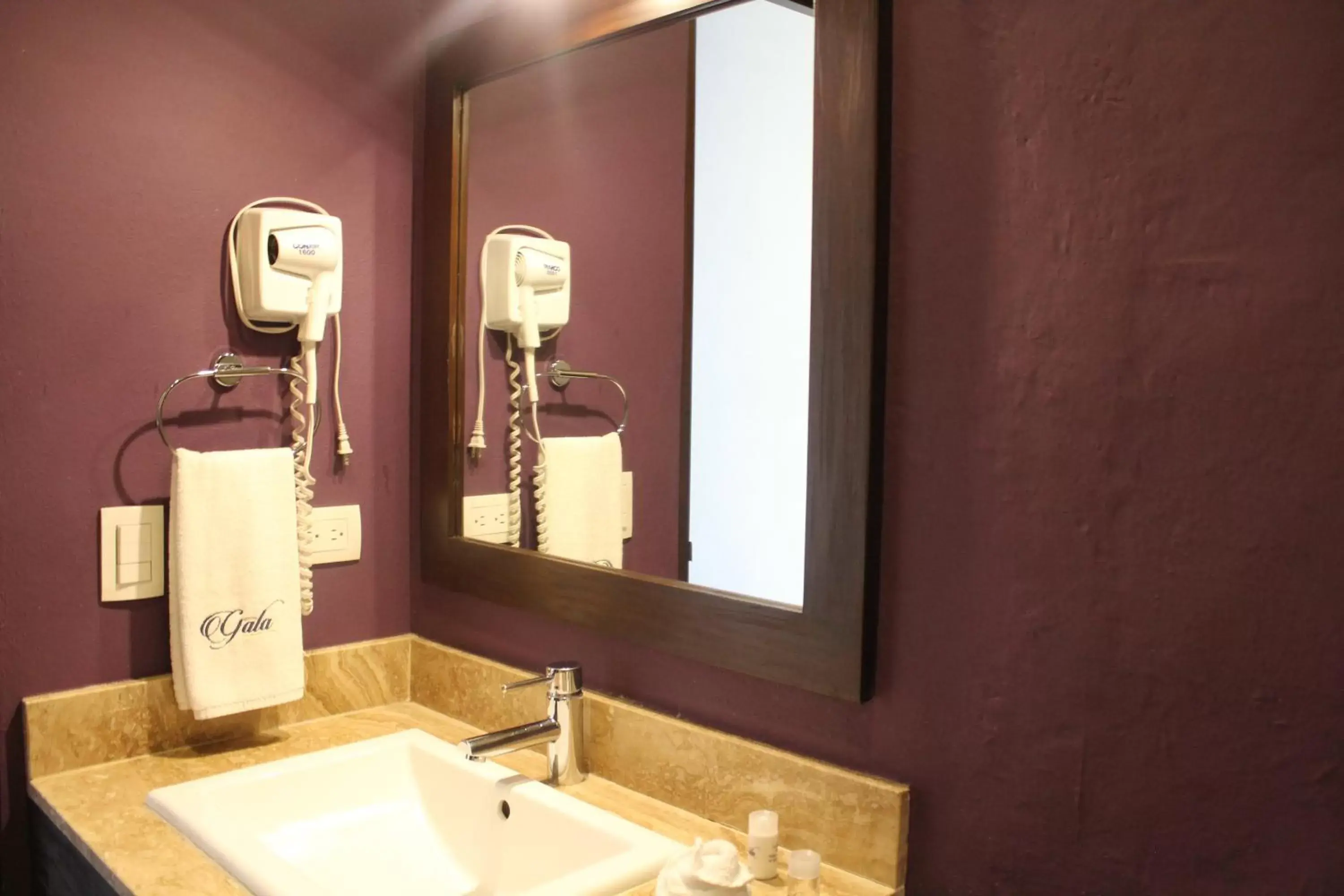 Decorative detail, Bathroom in Hotel Gala