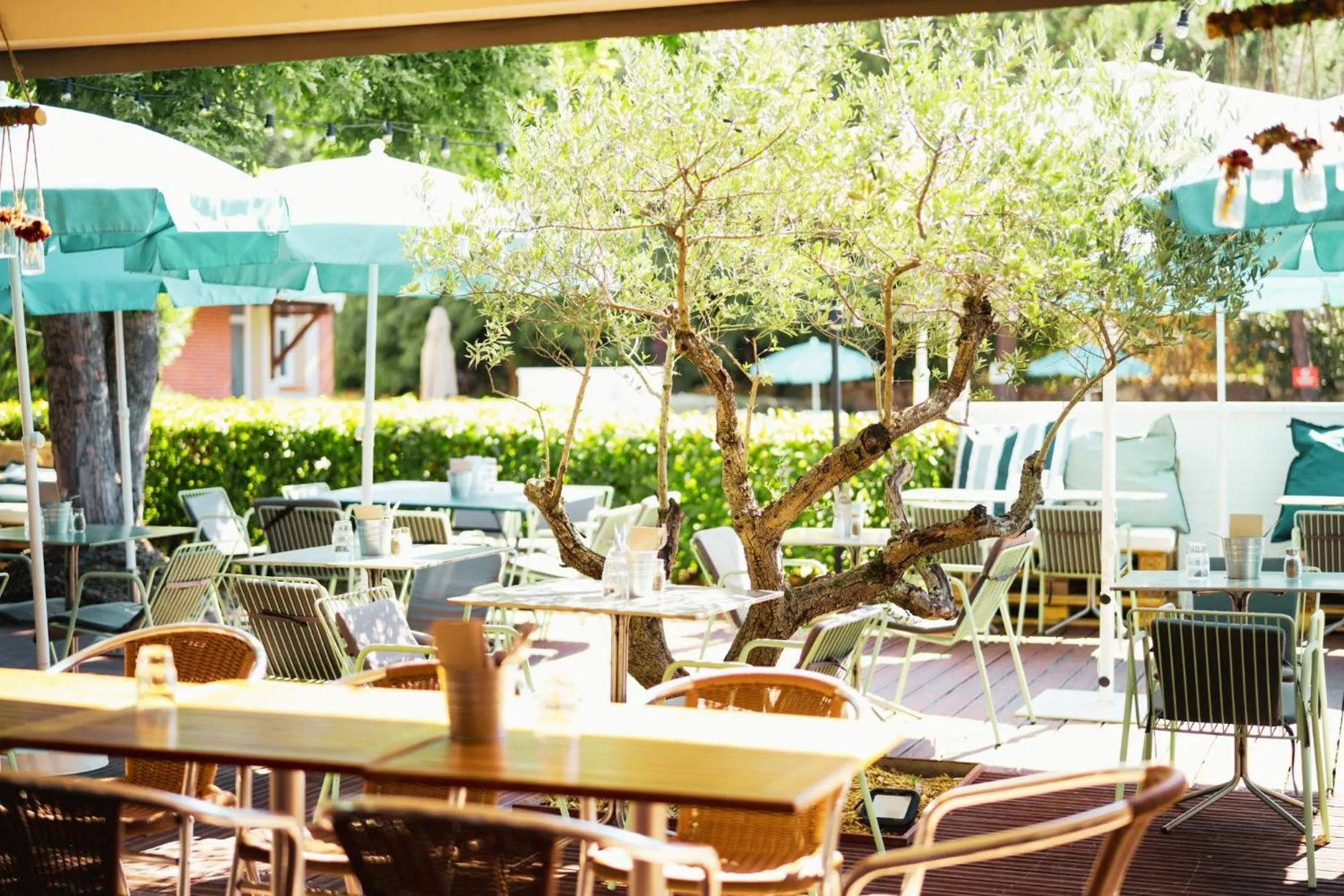 Balcony/Terrace in Sporting House Hôtel