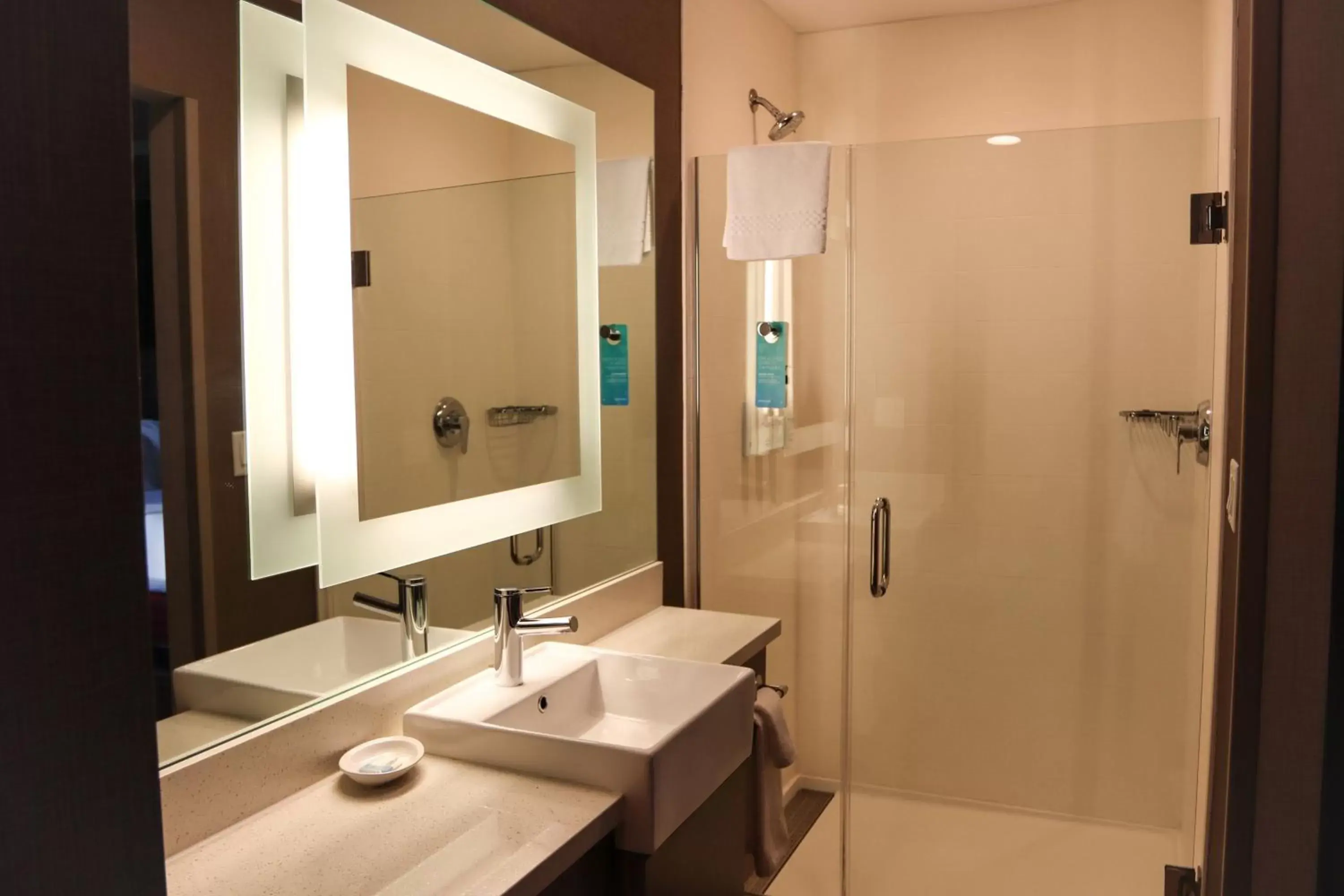 Bathroom in Springhill Suites Baltimore White Marsh/Middle River