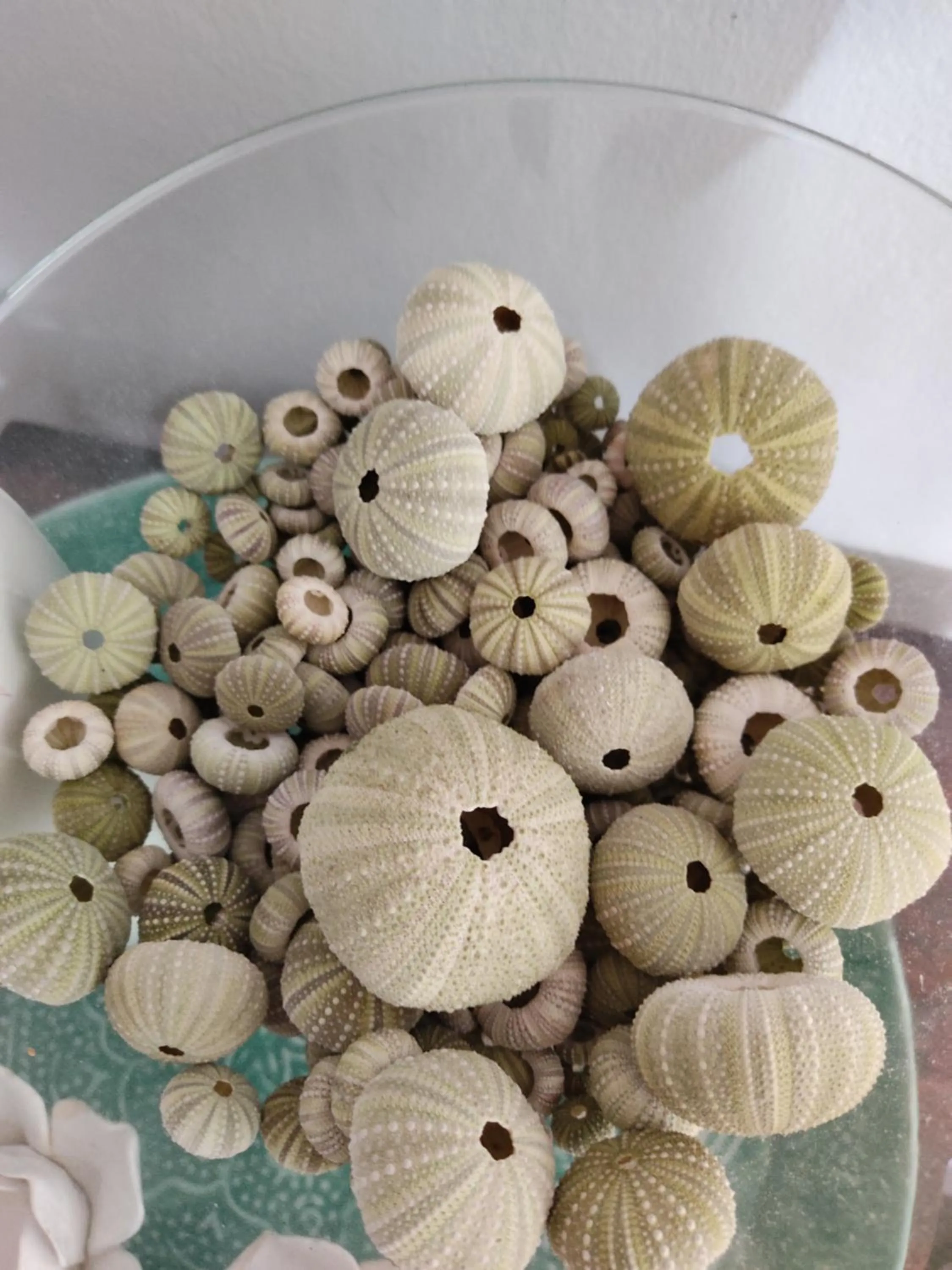 Palm Beach Guesthouse