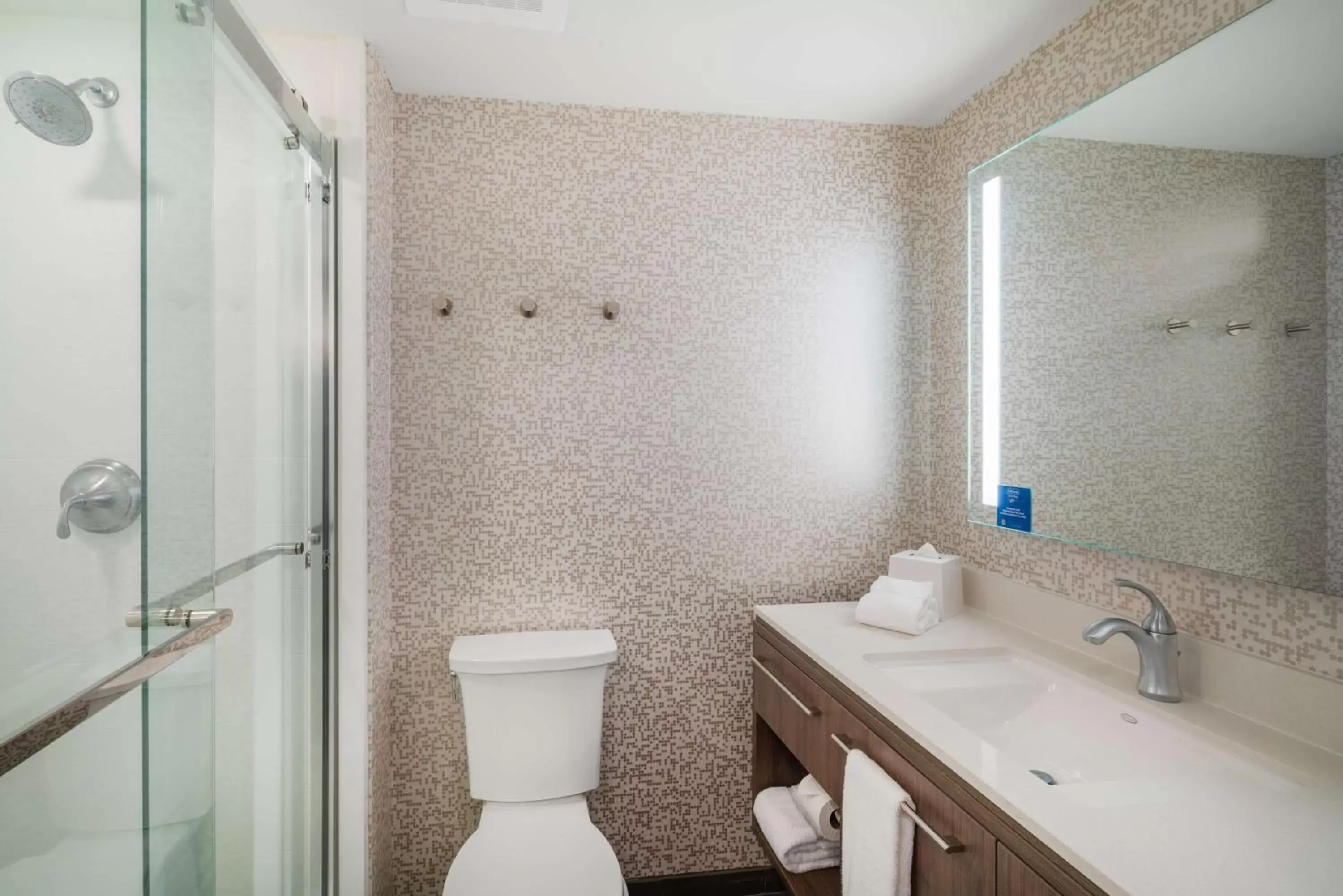 Bathroom in Home2 Suites By Hilton Brunswick