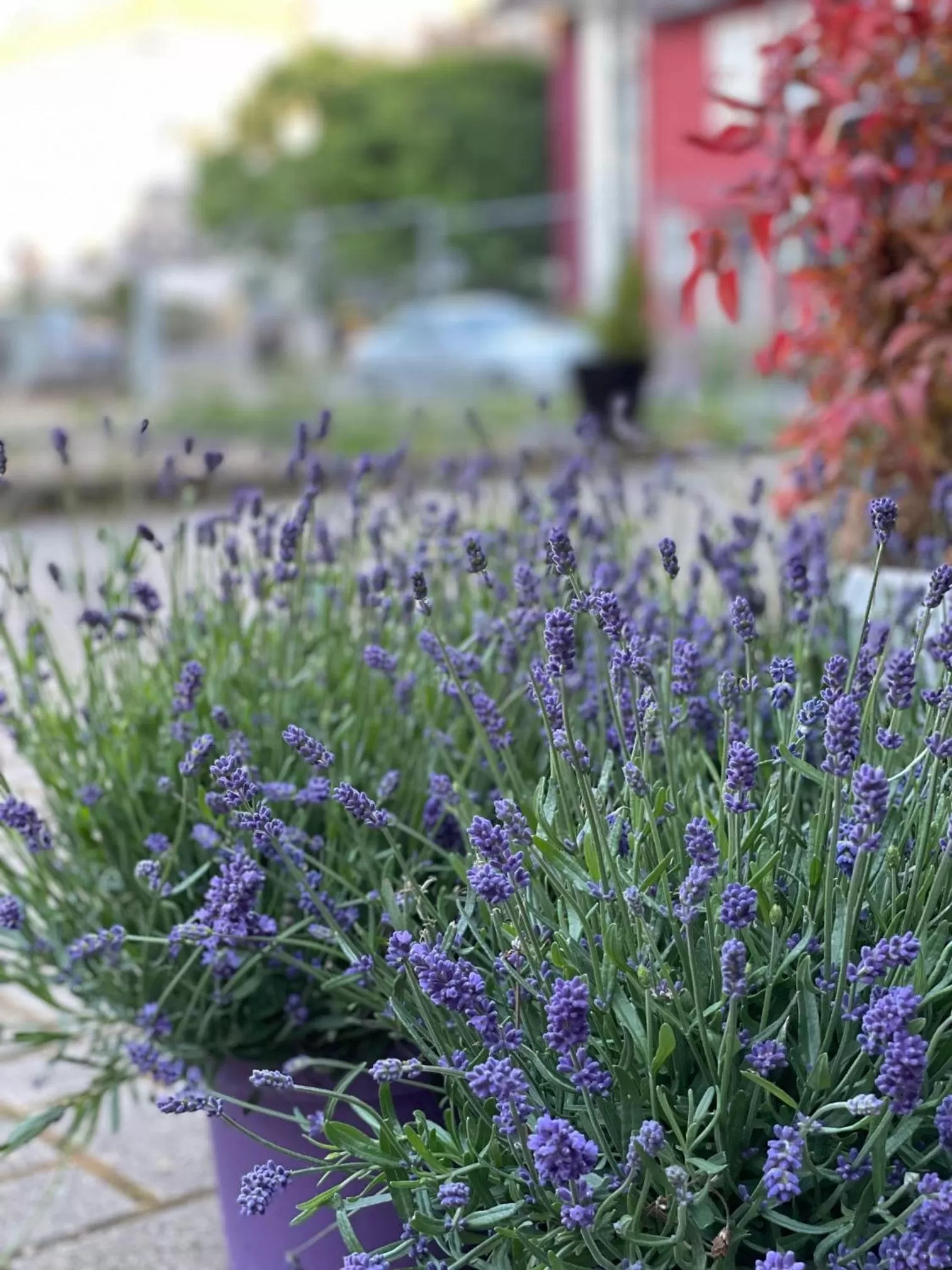 Off site in AUERSTEIN-Hotels auerstein & auerstein-mono