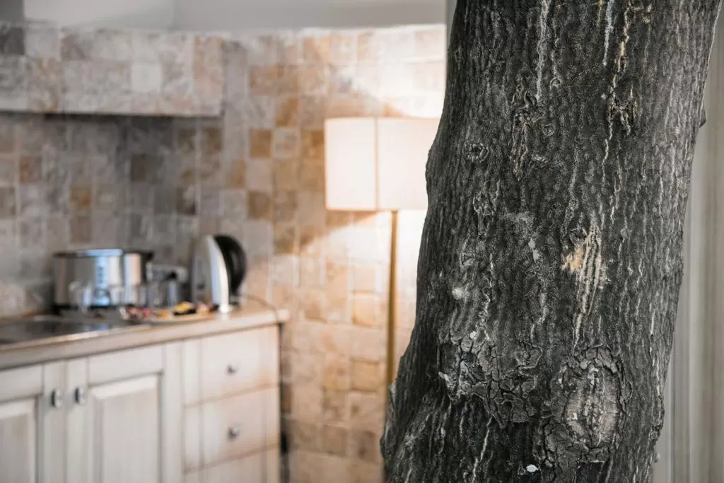 Suite Room with terrace in The Loft Istanbul