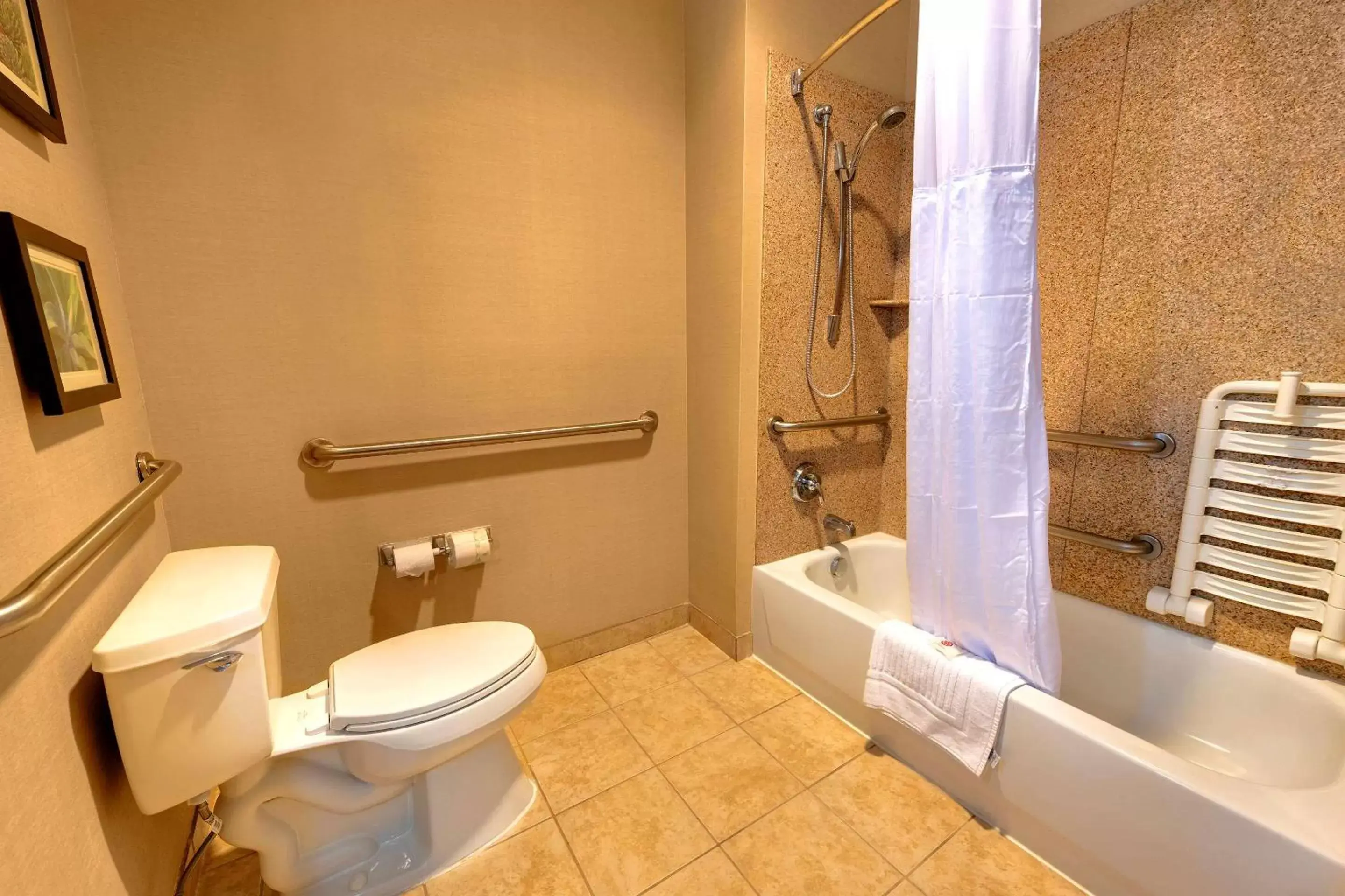 Bedroom, Bathroom in Comfort Suites Goodyear-West Phoenix