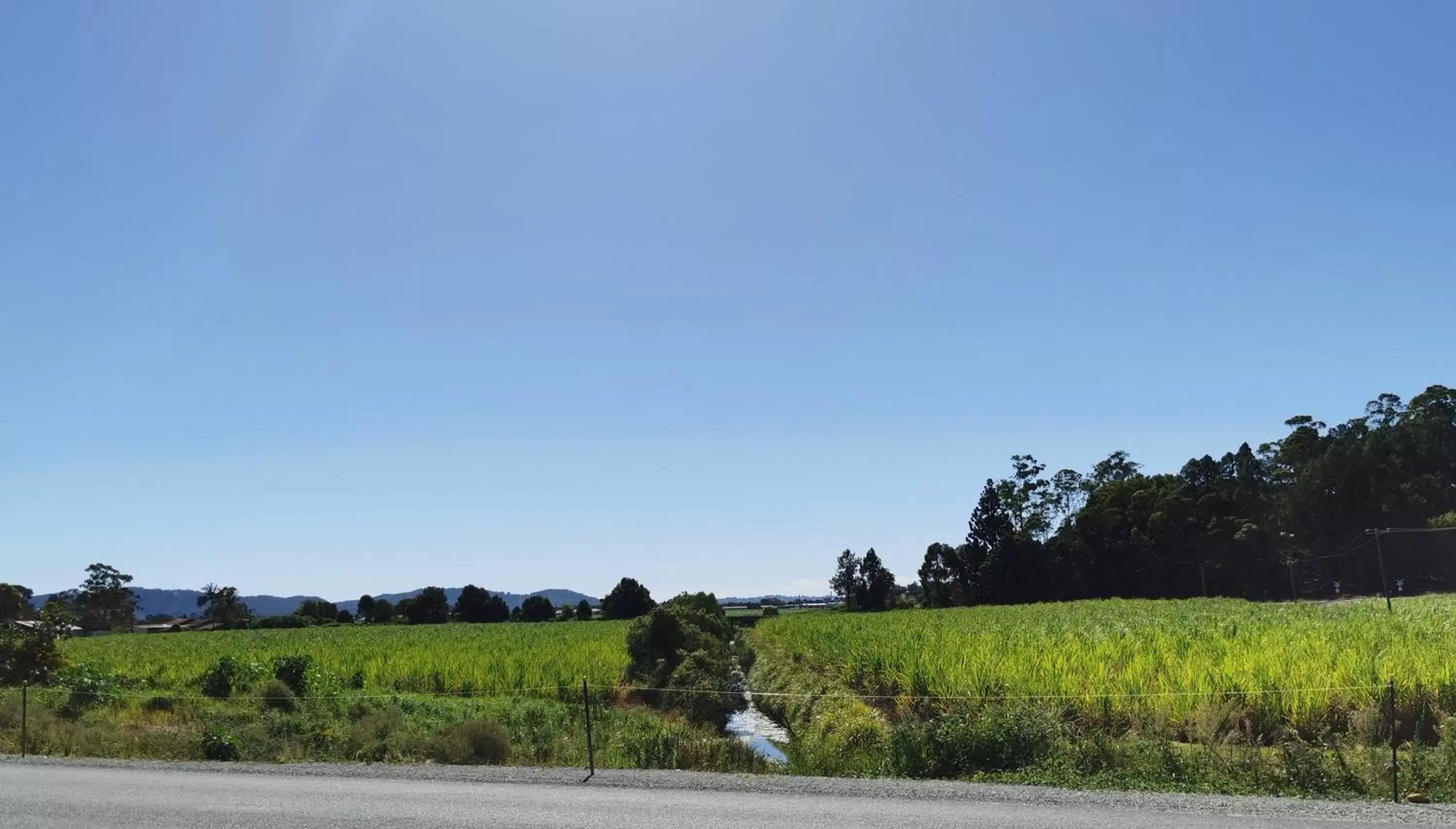 Twin Room in Gallery Motel Twin Room in Gallery Motel