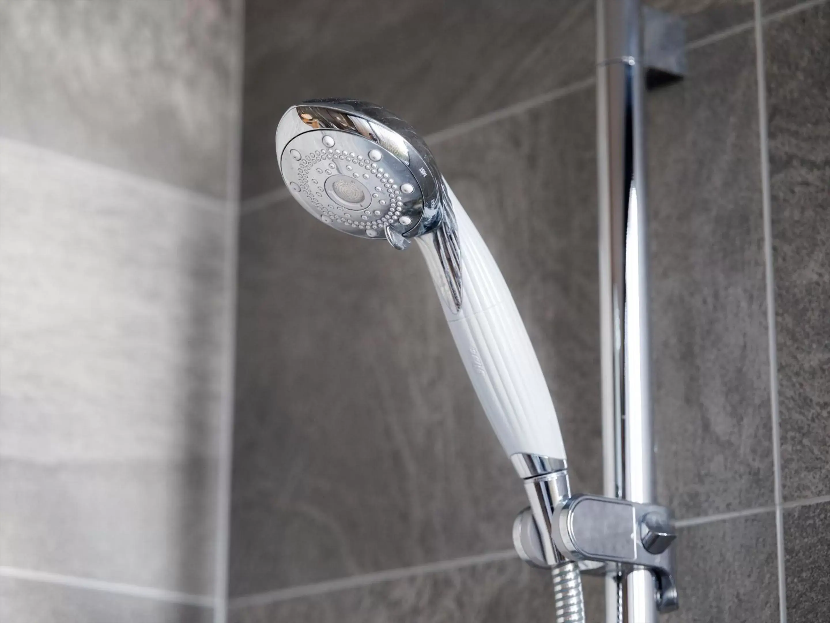 Shower, Bathroom in THE BLOSSOM KUMAMOTO