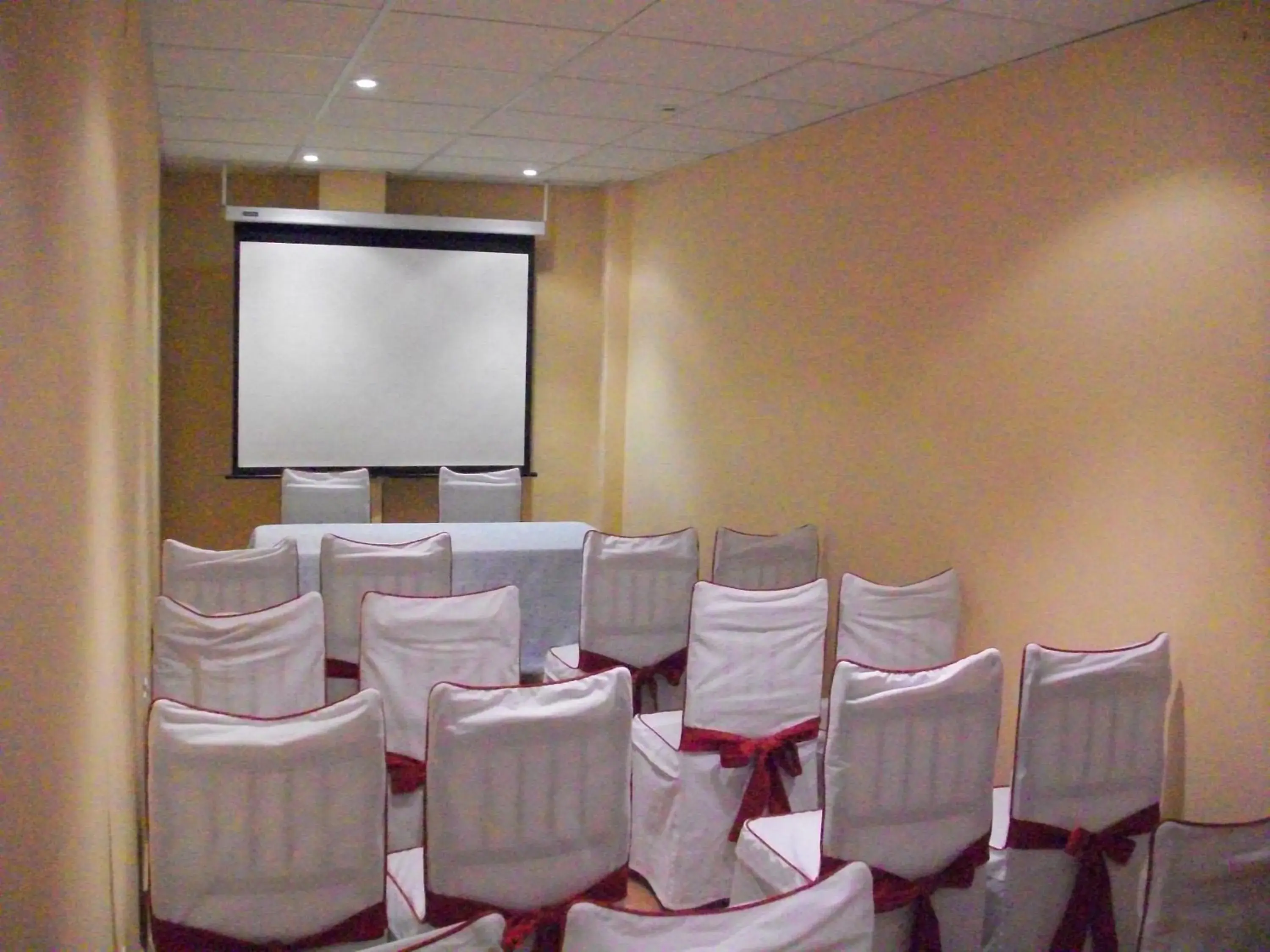 Meeting/conference room in Hotel Flor de la Mancha