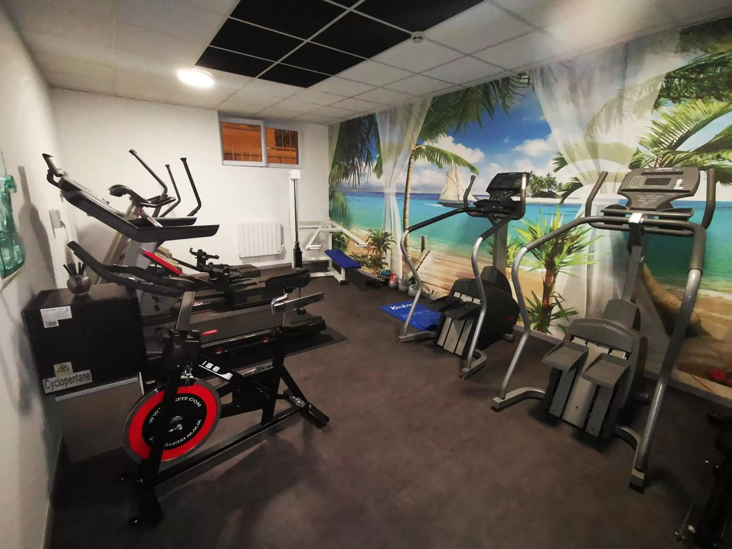 Fitness centre/facilities, Fitness Center/Facilities in HOTEL & SPA Le Renard Centre