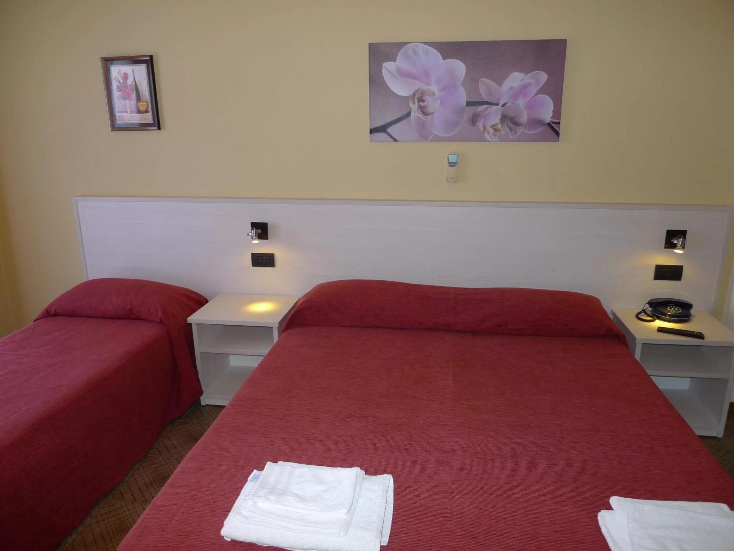 Bed in Hotel Alexander