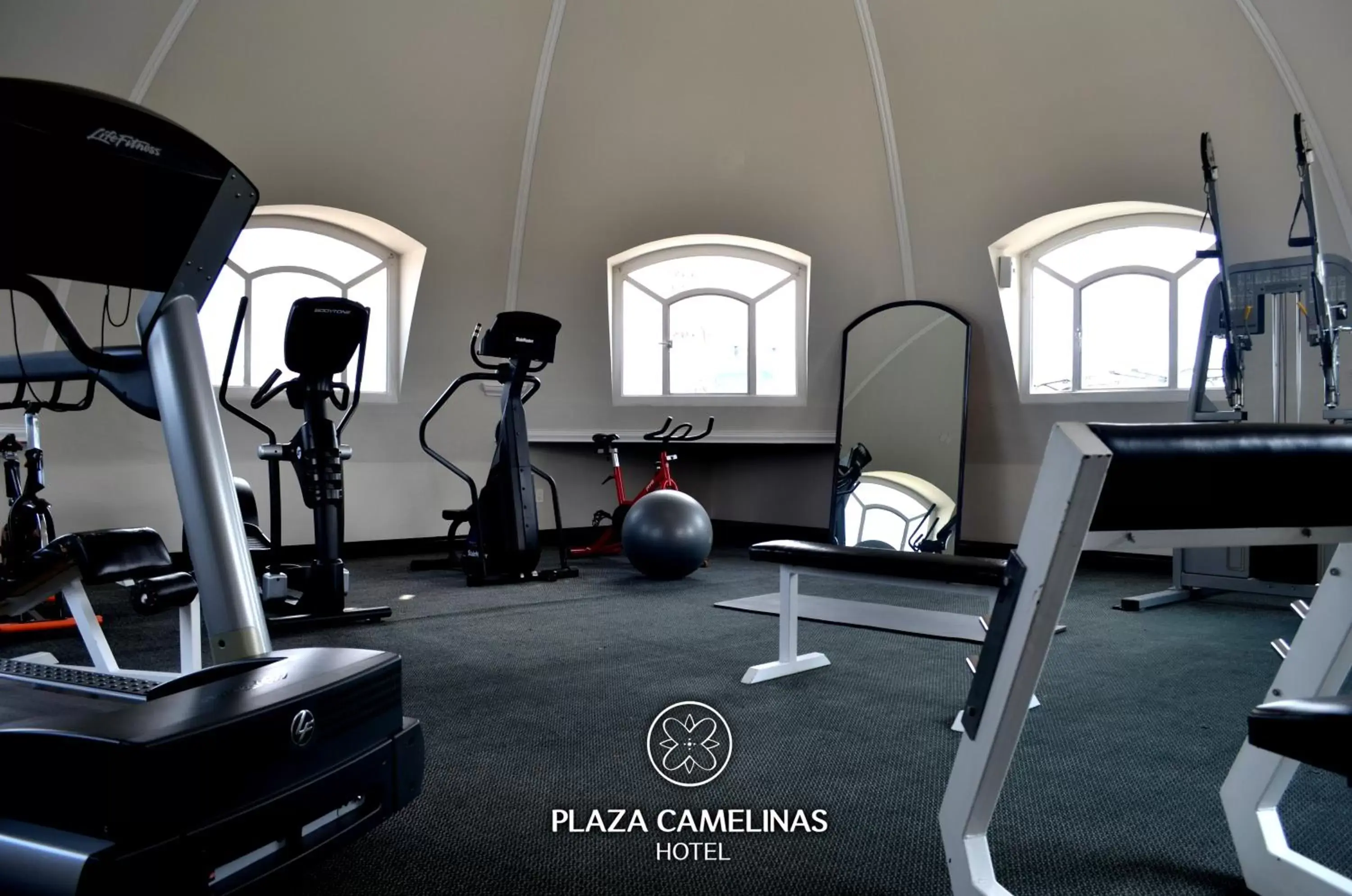 Fitness centre/facilities, Fitness Center/Facilities in Plaza Camelinas Hotel