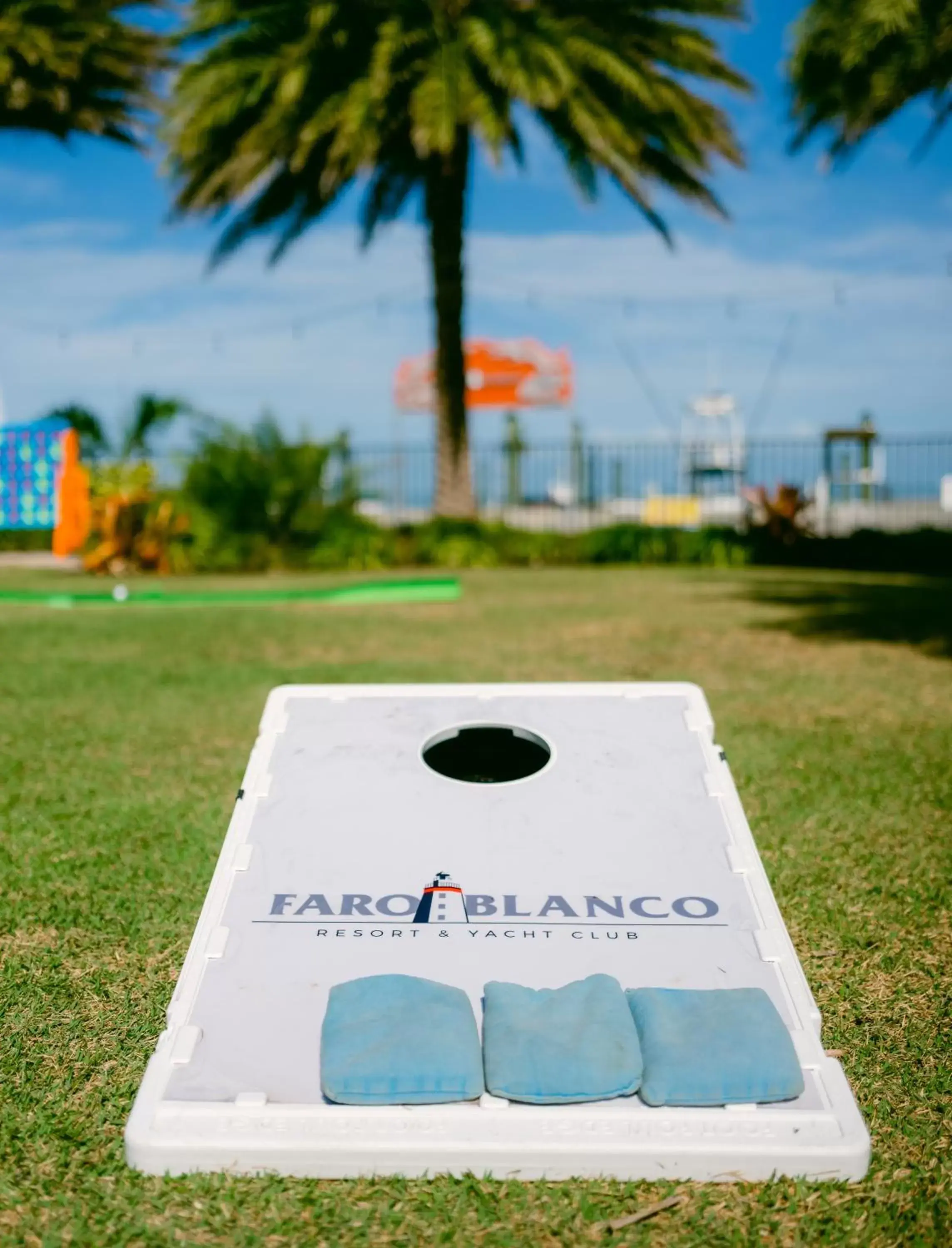 Activities in Faro Blanco Resort & Yacht Club