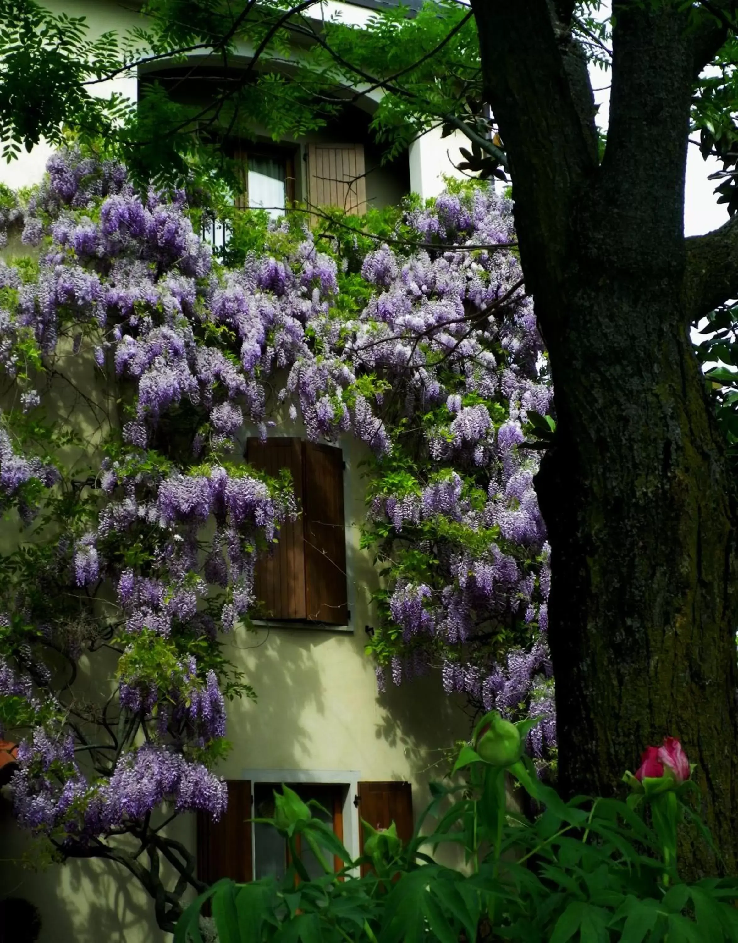 Facade/entrance, Property Building in Country Hotel Le Querce