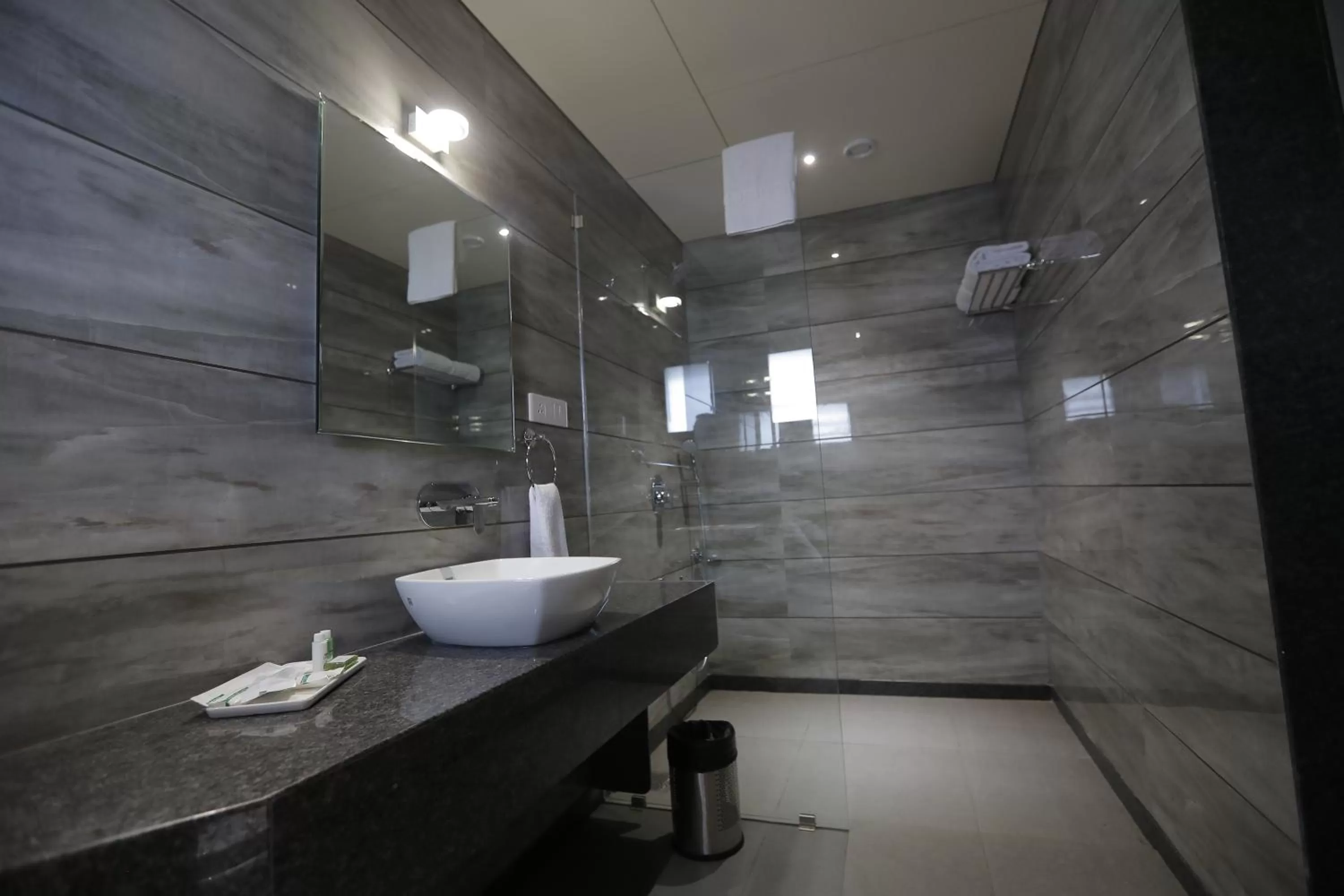 Bathroom in Hotel Radiance