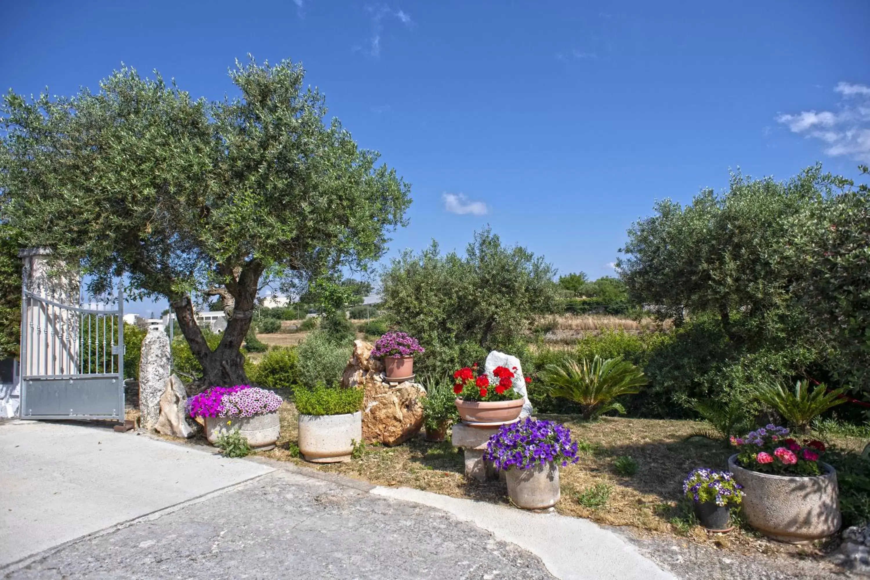 Garden view in B&B Il Brigante