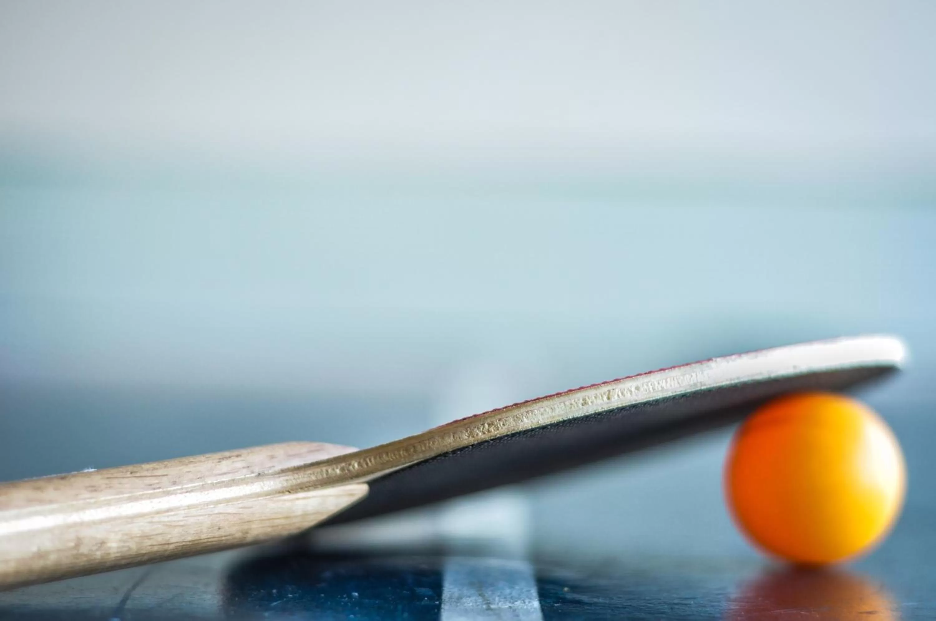 Day in Dom Pedro I Palace Hotel