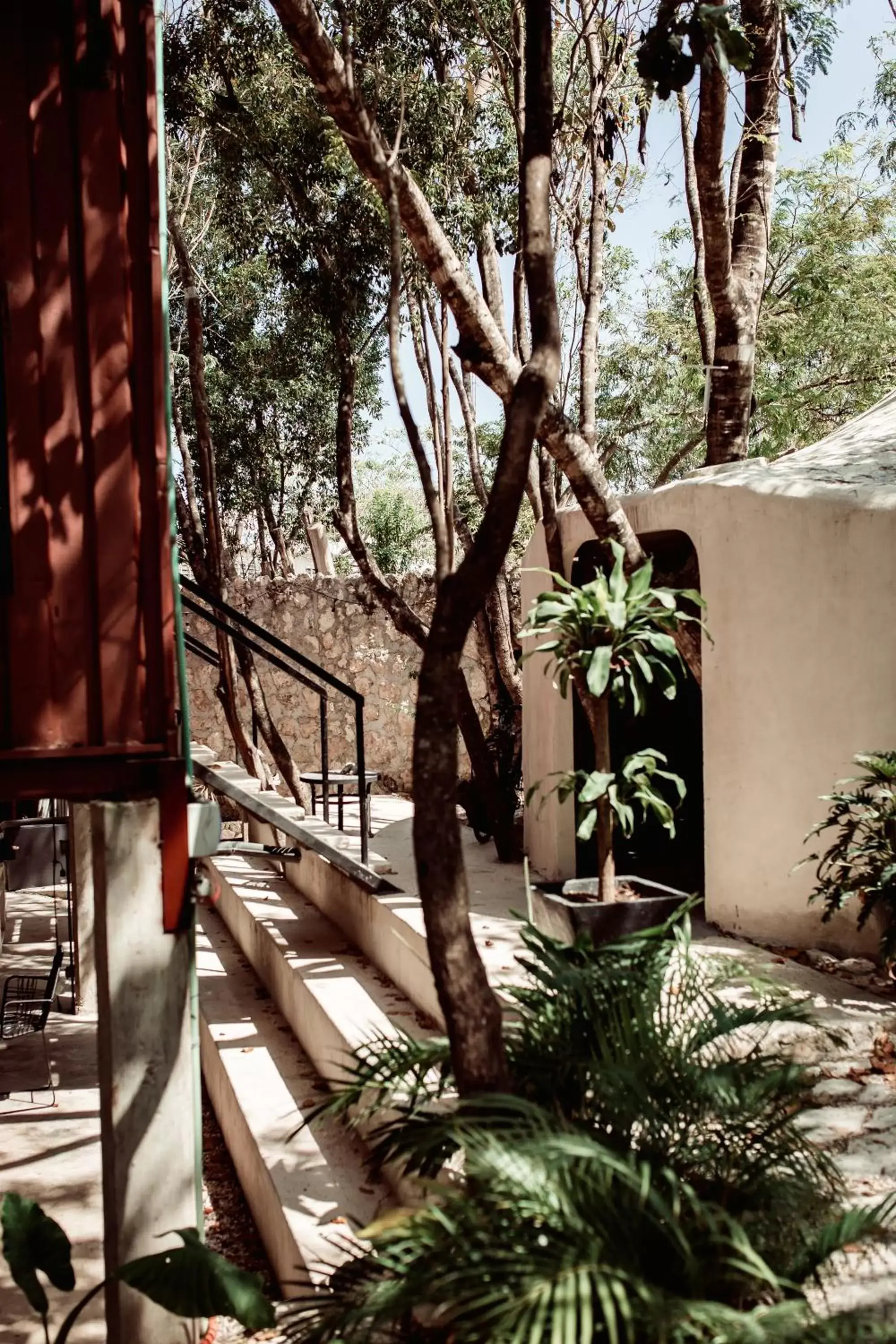 Property building, Winter in Botånica Tulum