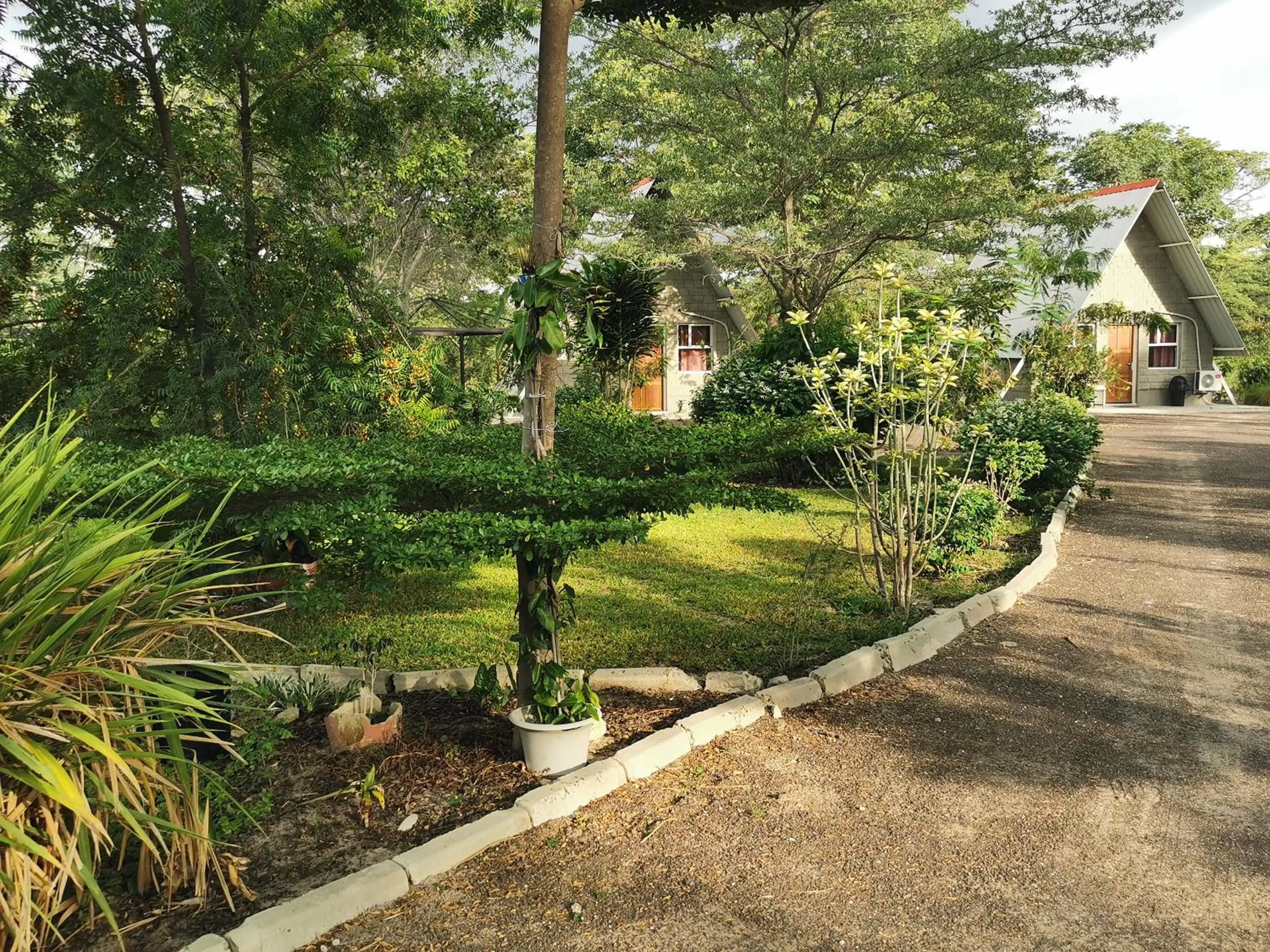 Garden in Happy Forest B&B