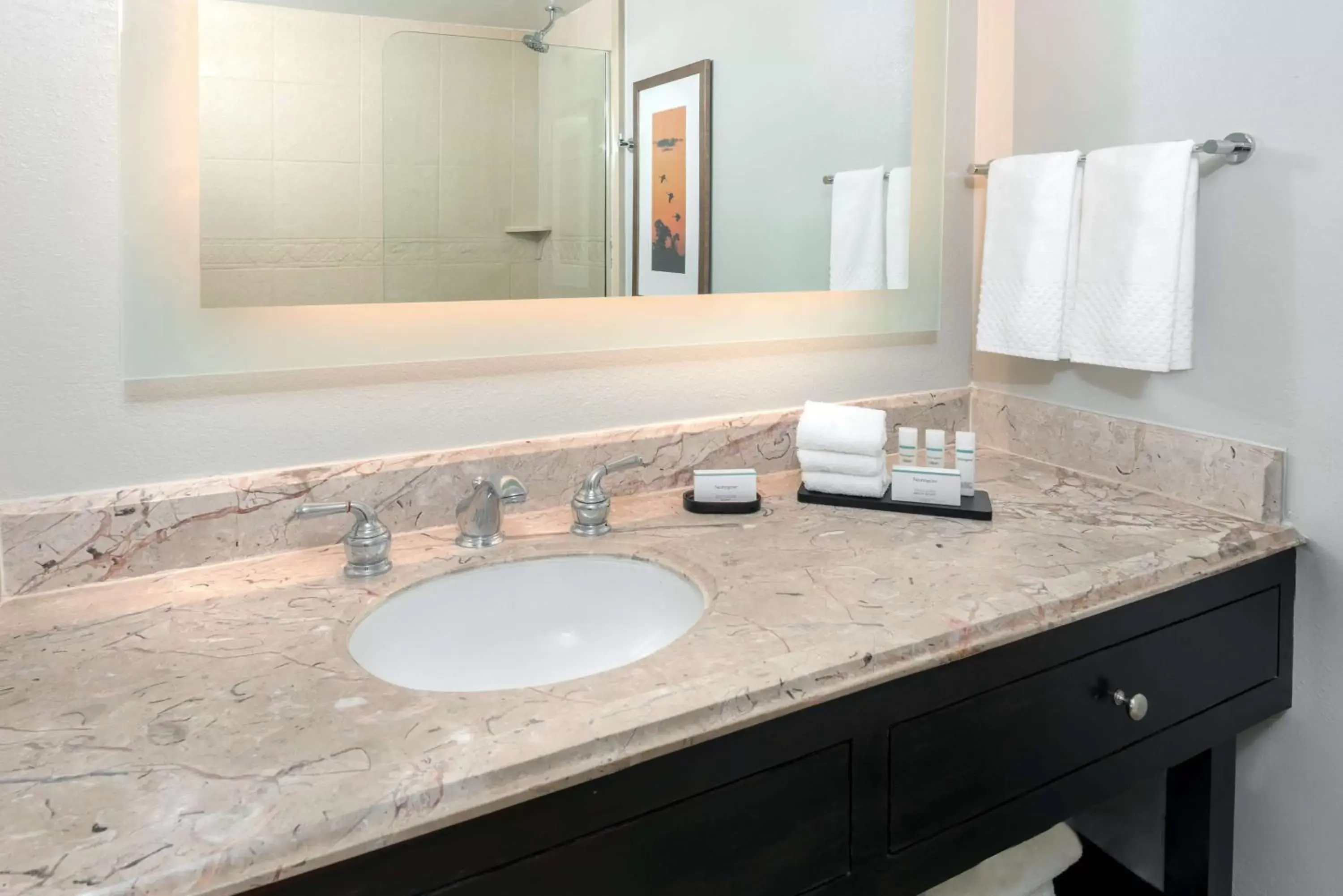 Bathroom in Embassy Suites Dallas - Park Central Area