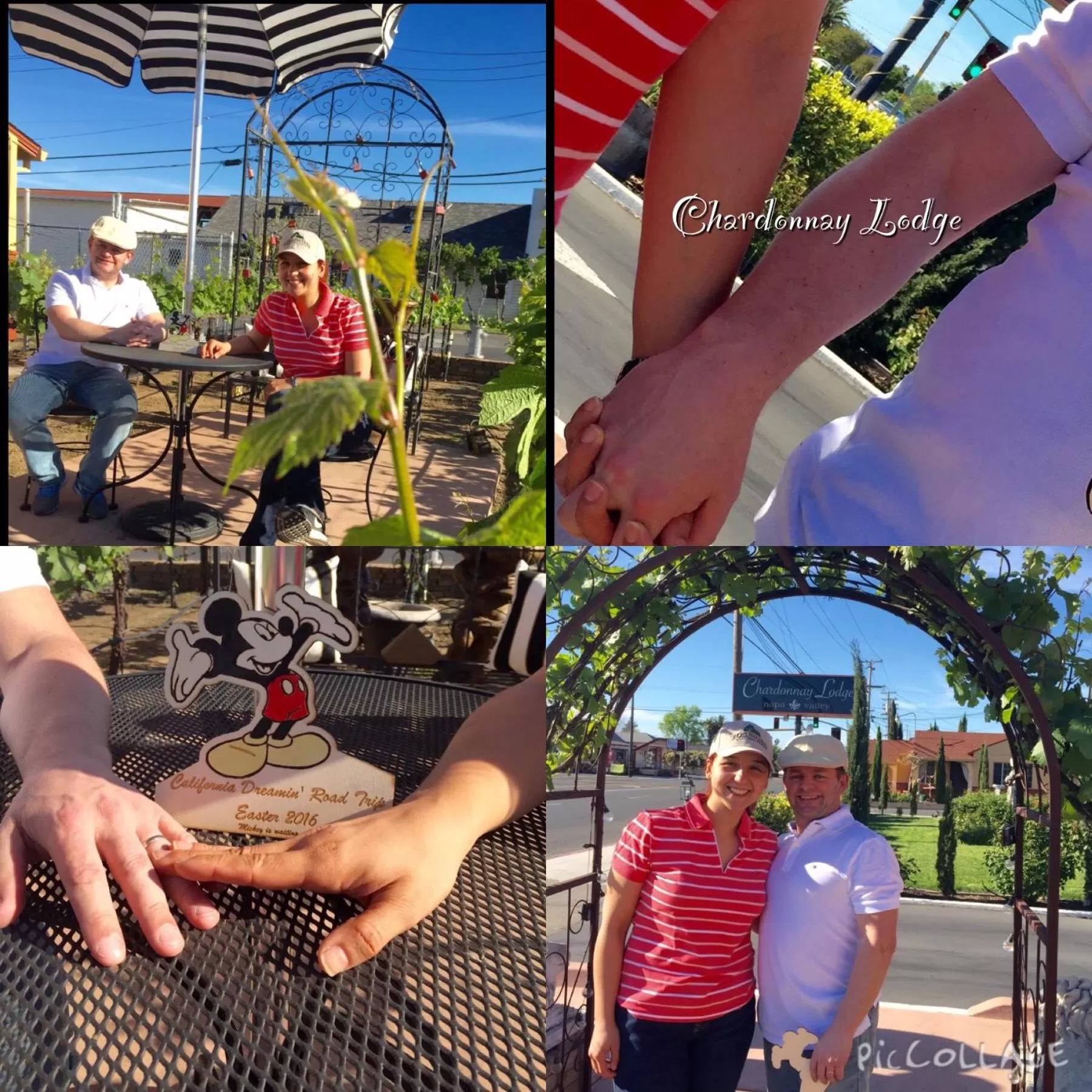 group of guests in Chardonnay Lodge