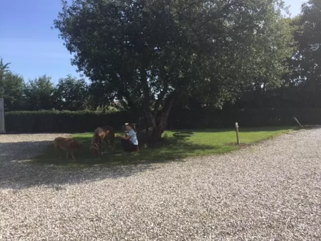 Garden in Motel Viborg