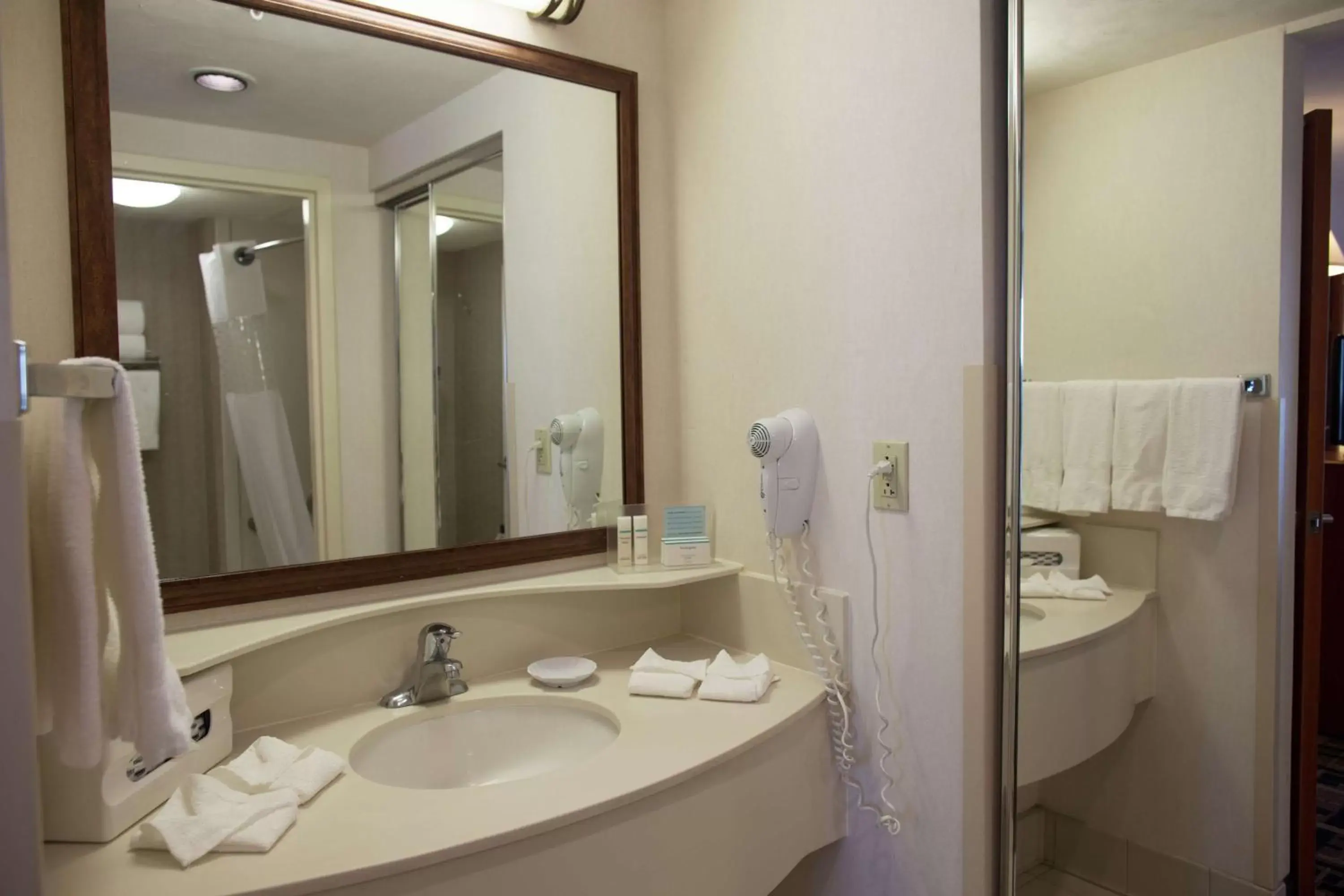Bathroom in Hampton Inn Torreon Airport-Galerias