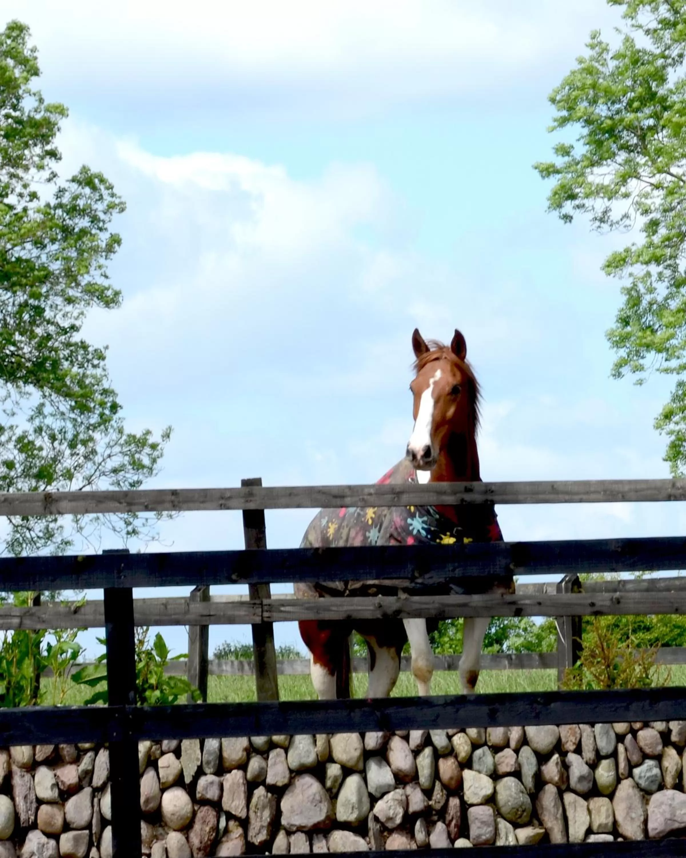 Day in Cannaway House B&B