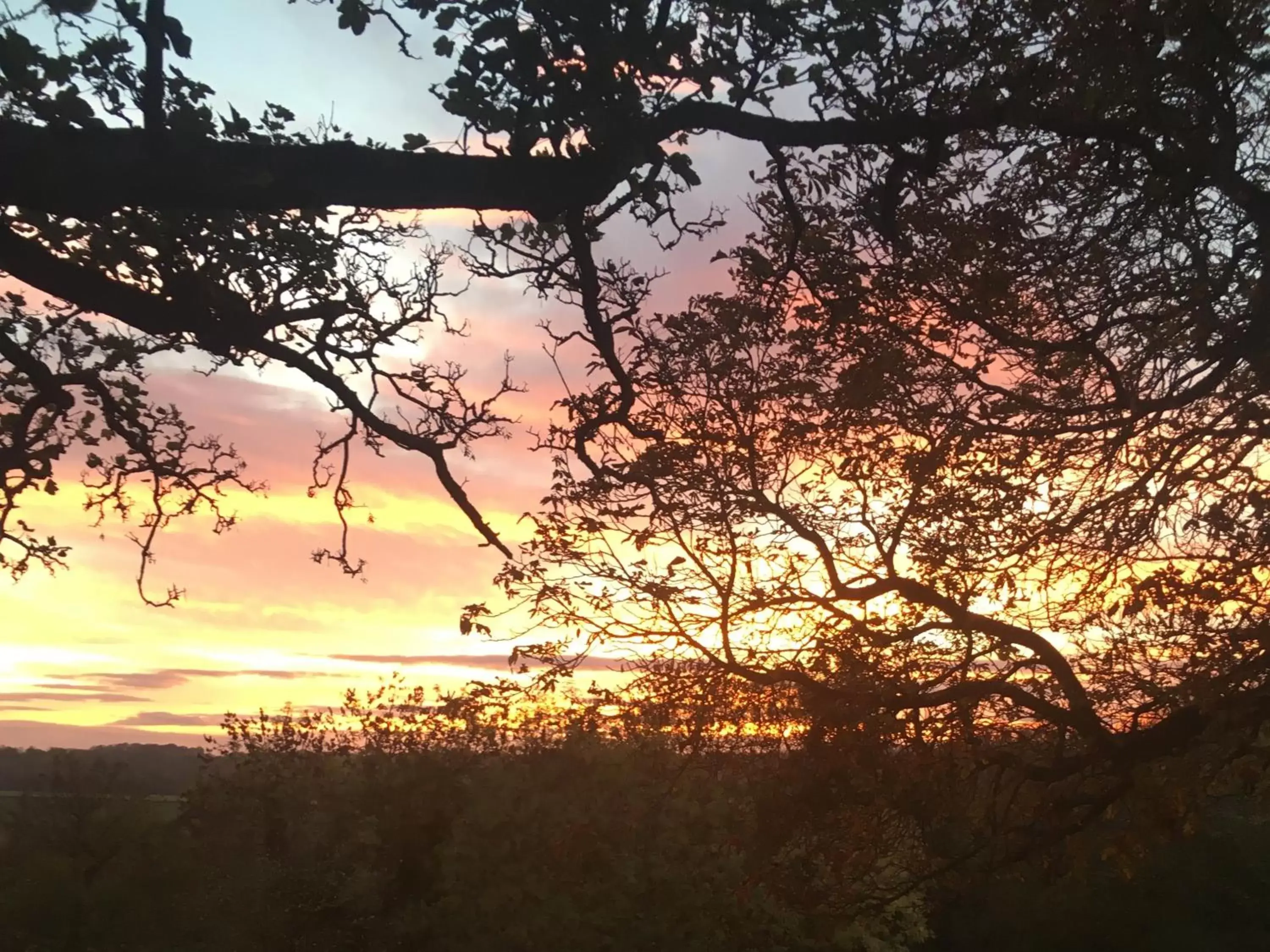 View (from property/room), Natural Landscape in The Devonport