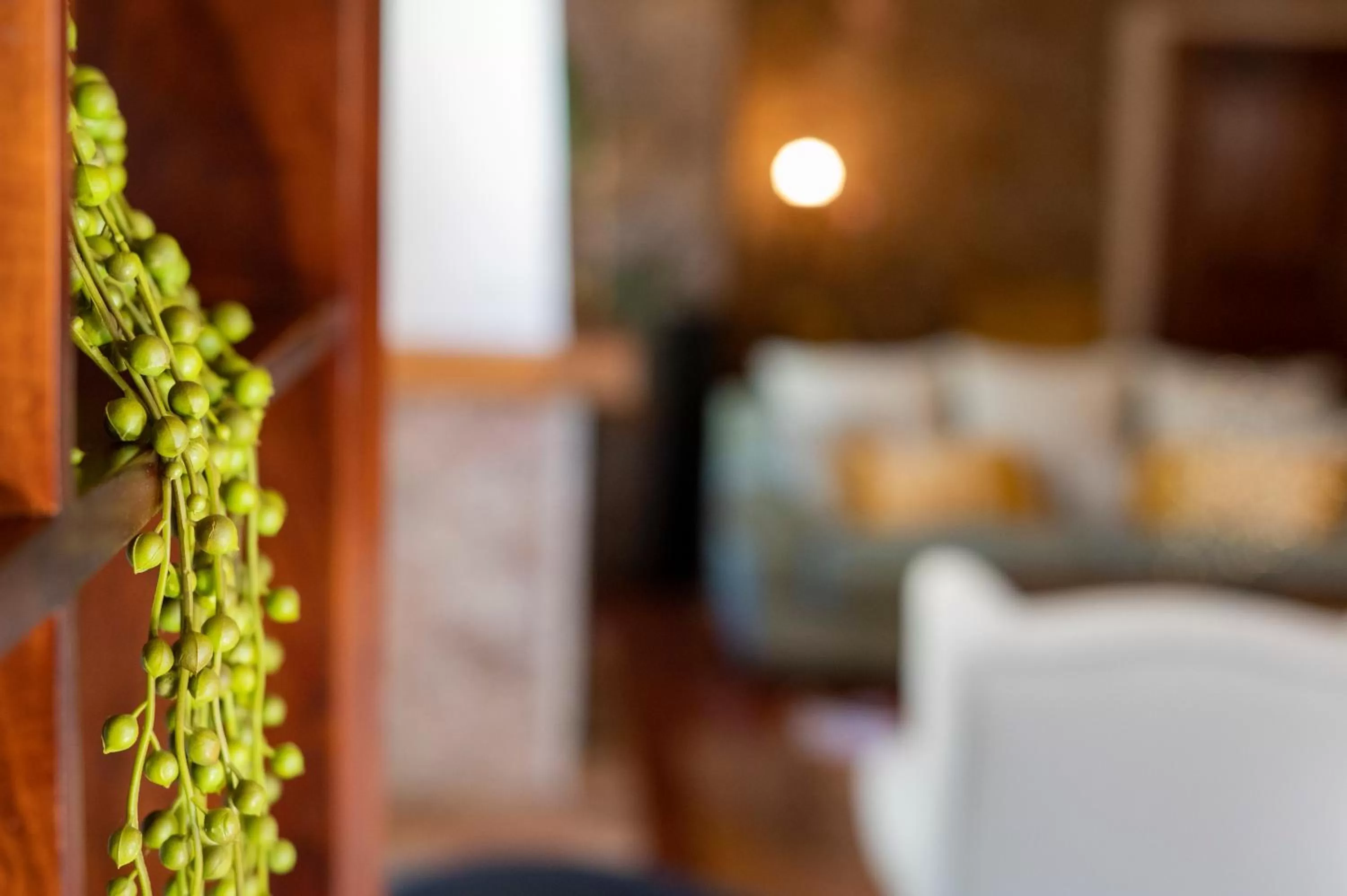 Decorative detail, Bed in Hotel El Tejar & Spa