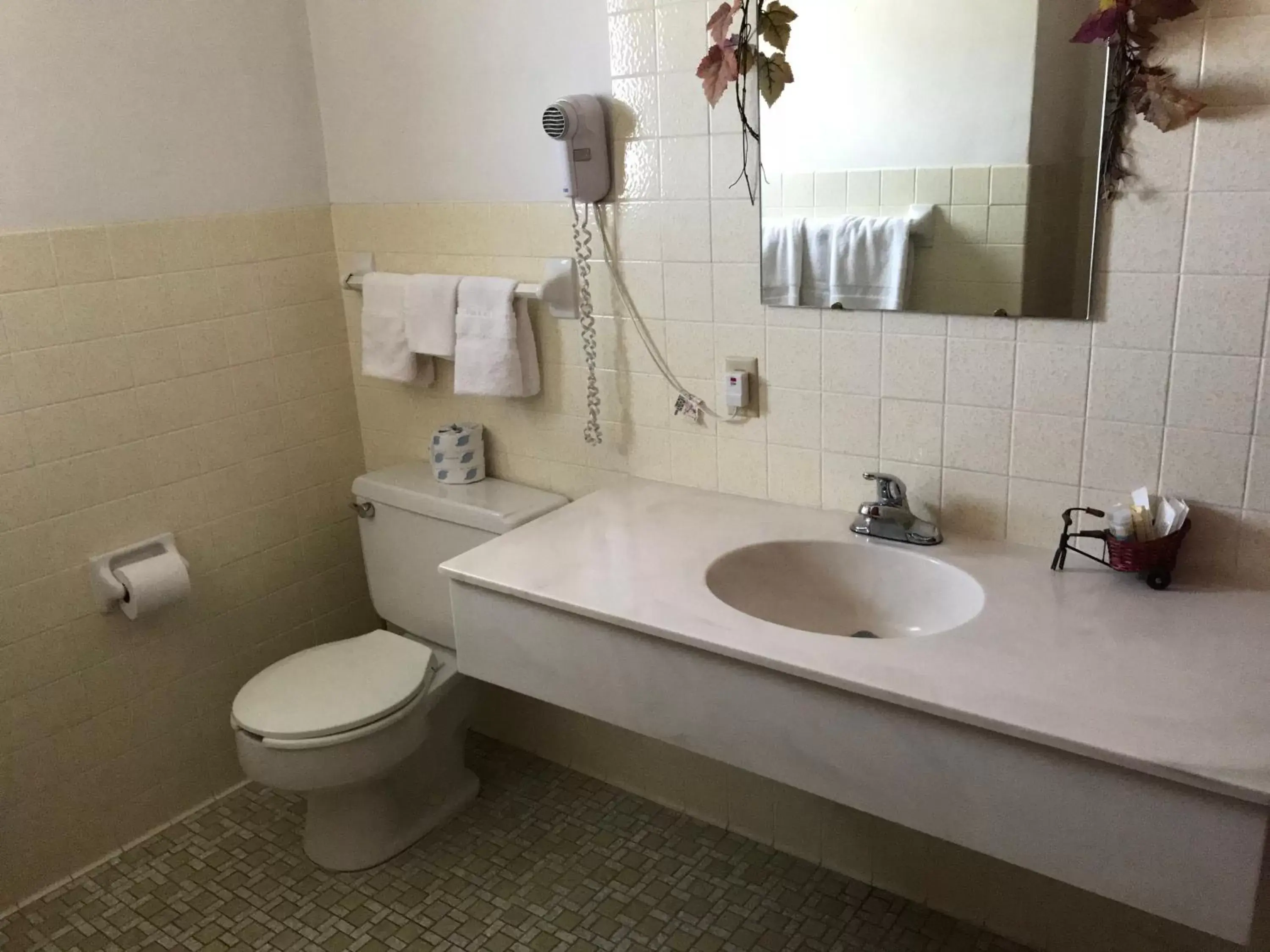 Toilet, Bathroom in Best Nights Inn - Sparta