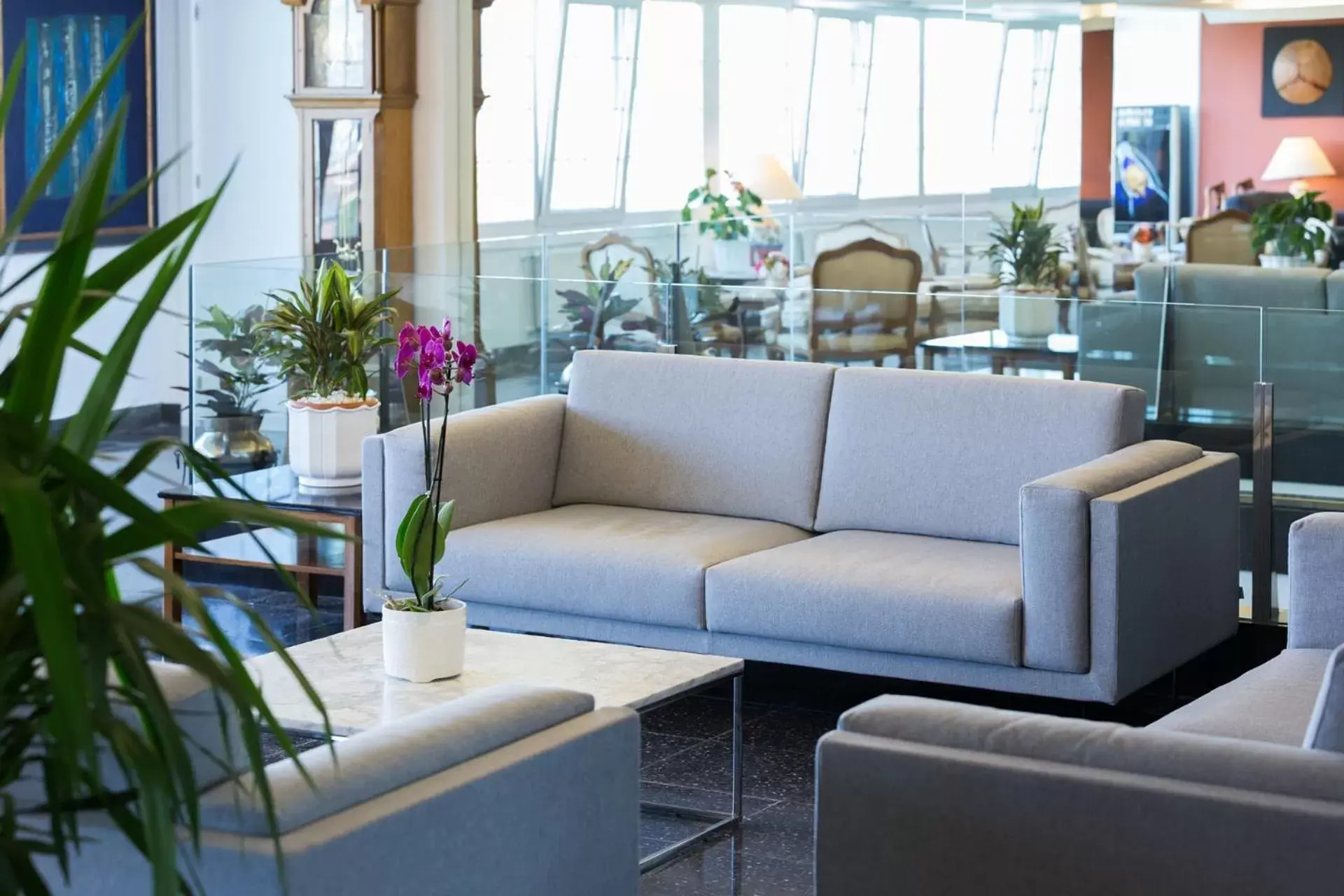 Lobby or reception, Seating Area in Hotel Avenida