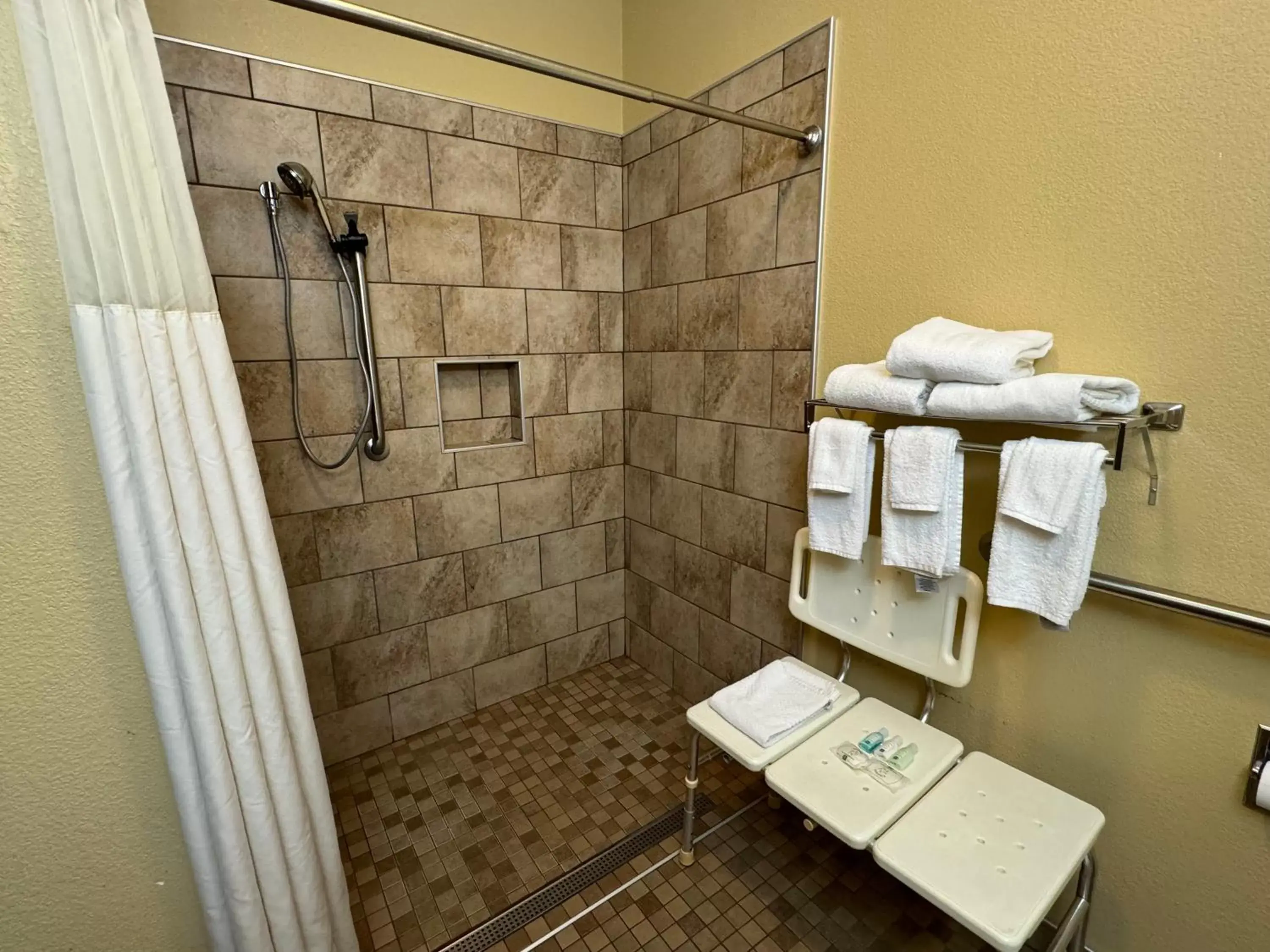 acessibility, Bathroom in Quality Inn near I-72 and Hwy 51