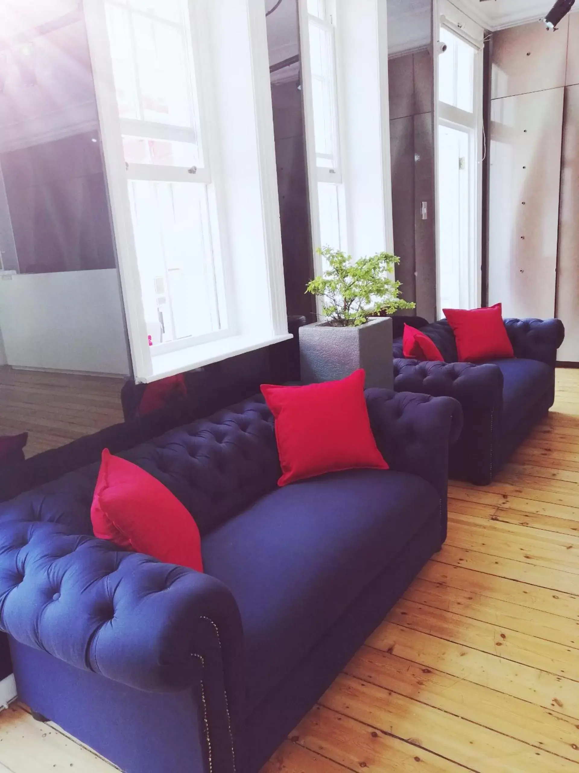 Living room, Seating Area in Daddy Long Legs Art Hotel