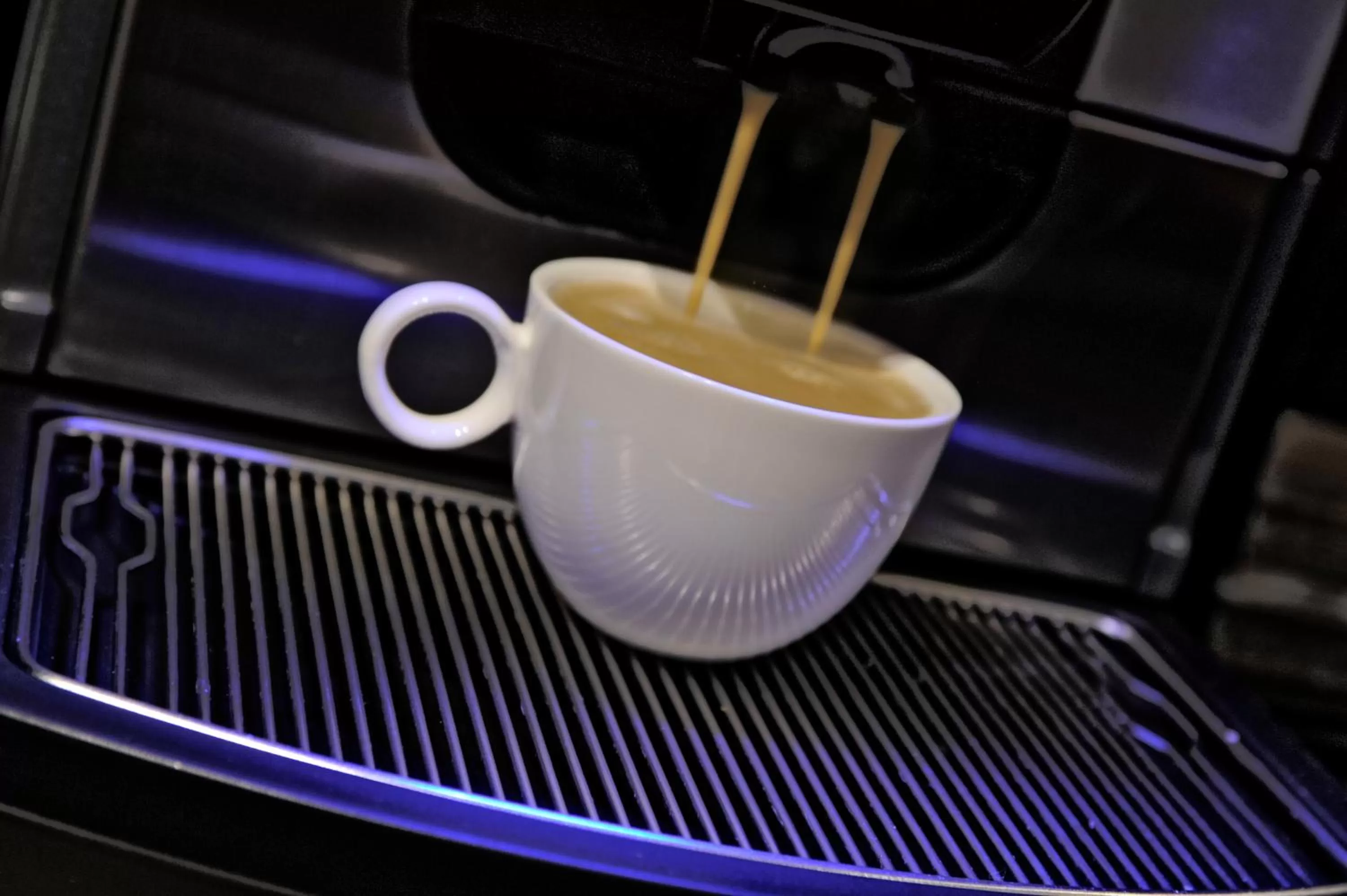 Buffet breakfast in Amsterdam Forest Hotel