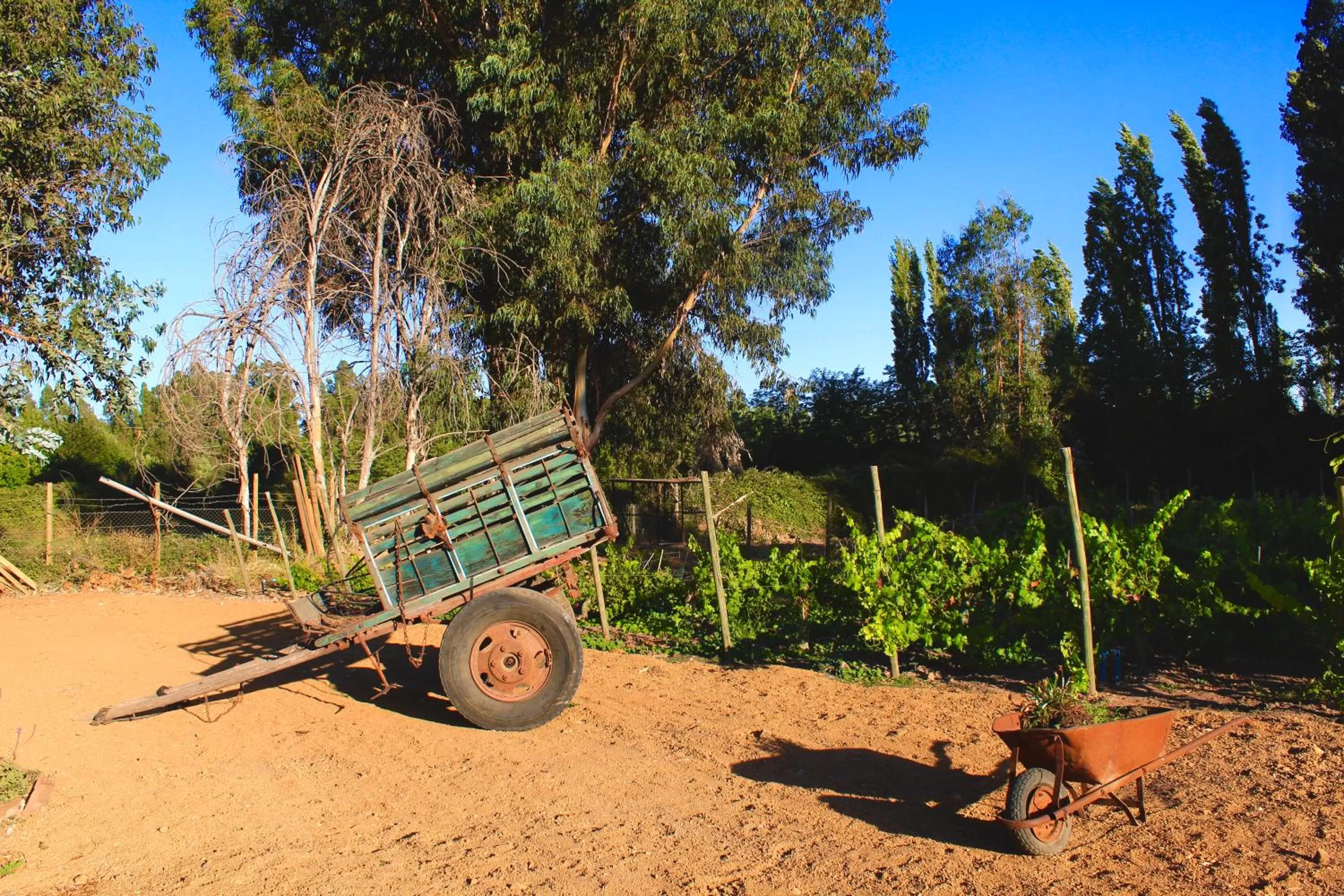 Hotel Boutique Raíces de Colchagua