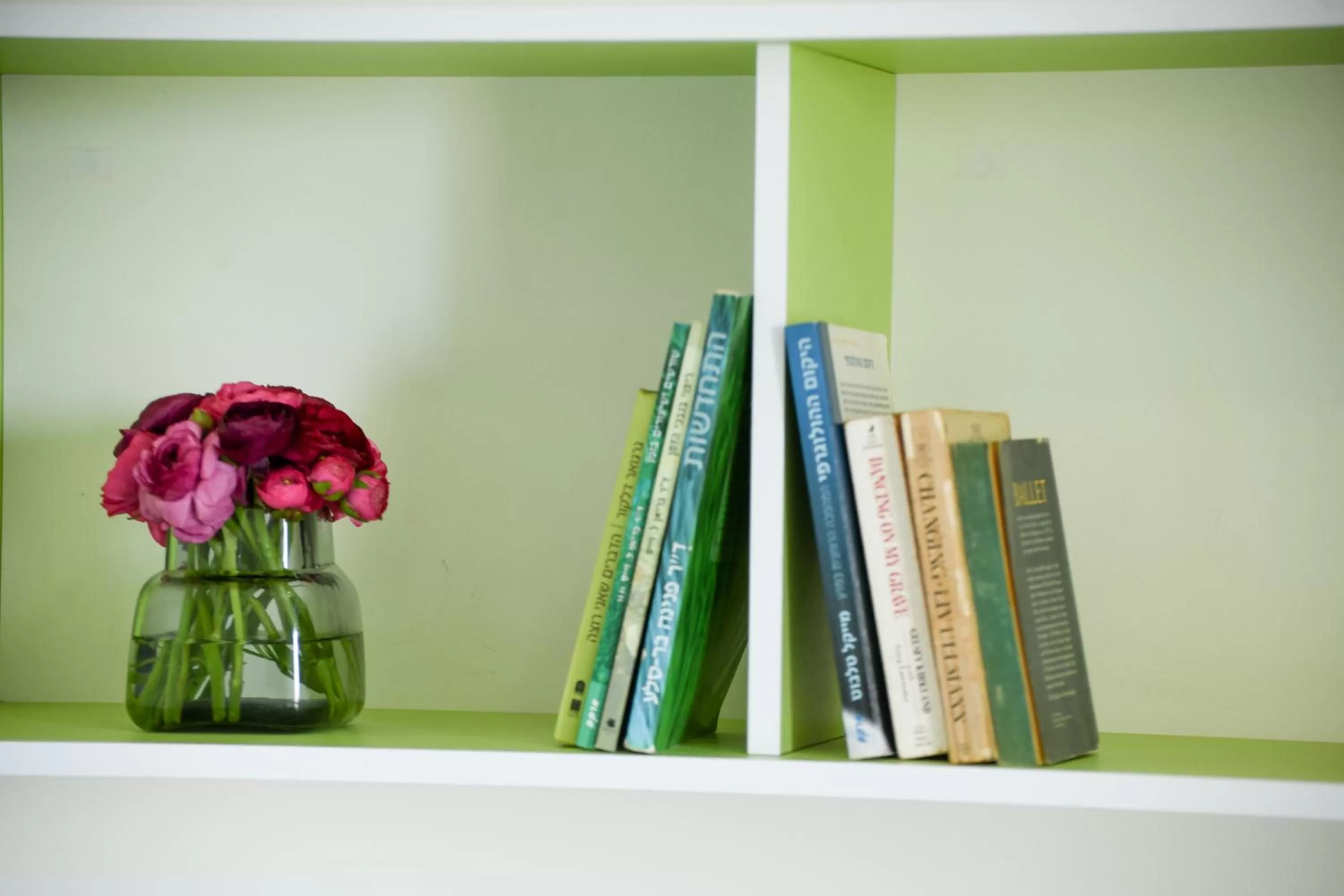 Library in דירות גני תערוכה - TLV university apartments near Expo by Sea N' Rent