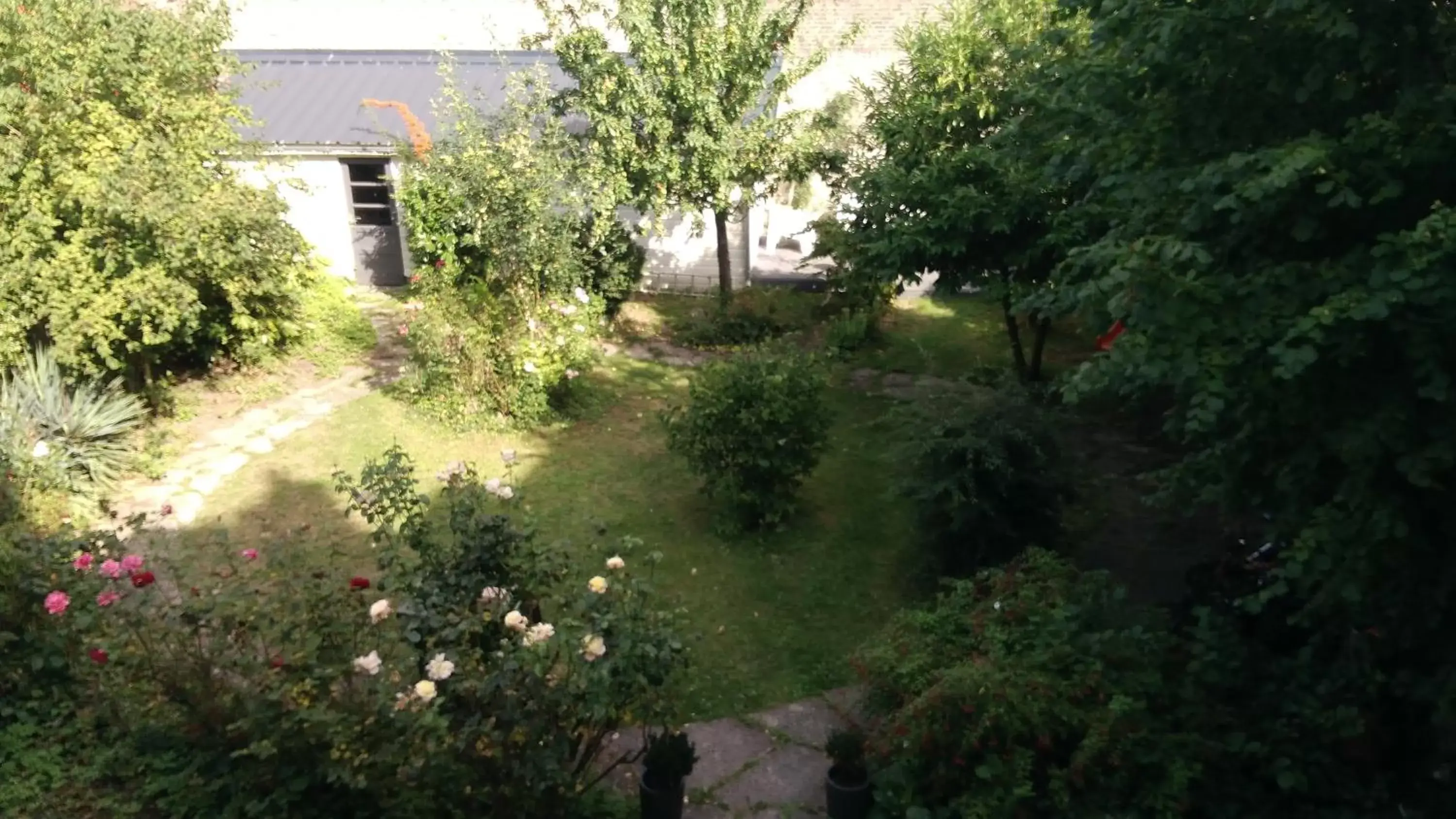 Garden view, Garden in Jules Verne