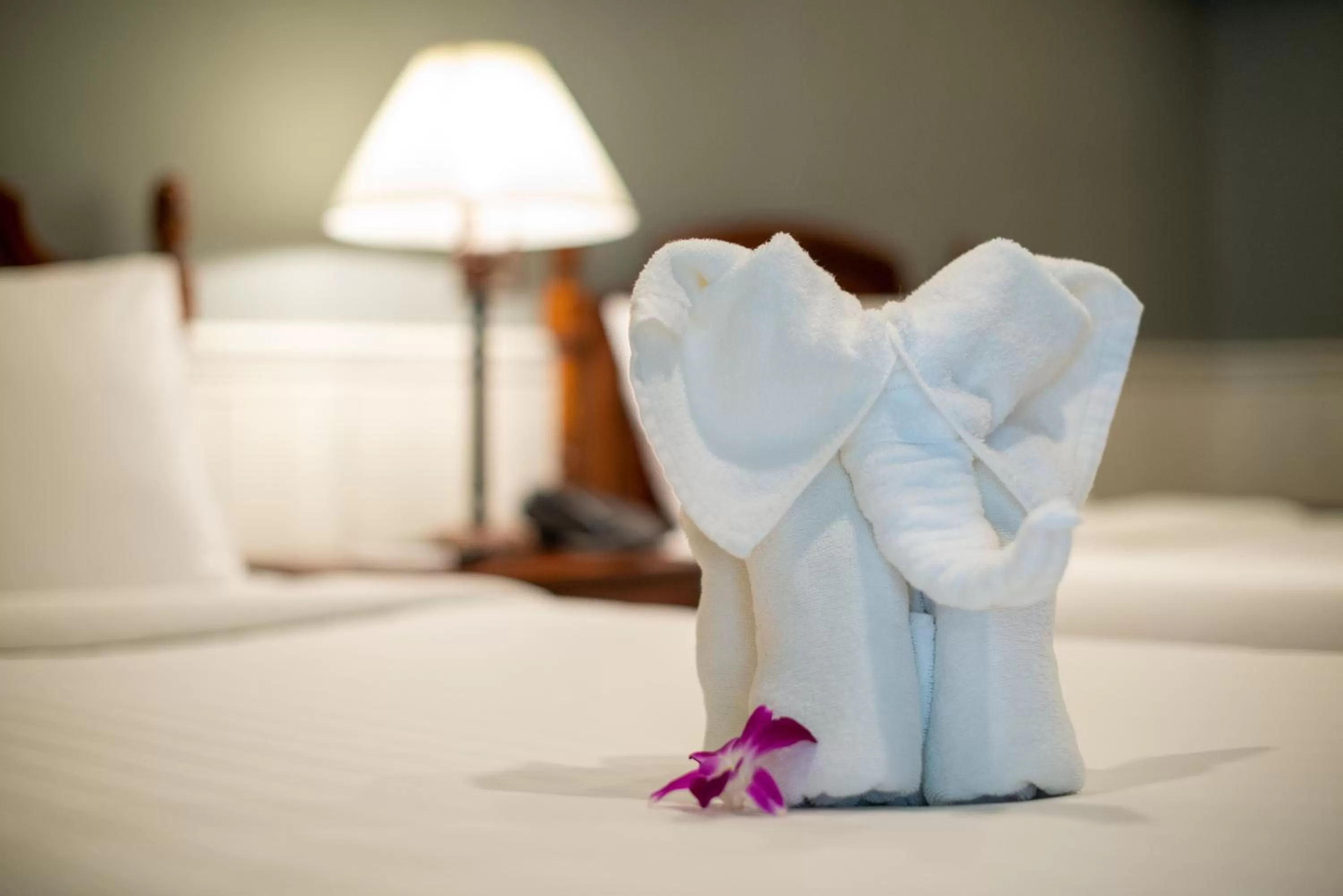 Other, Bed in The Orchid House 153