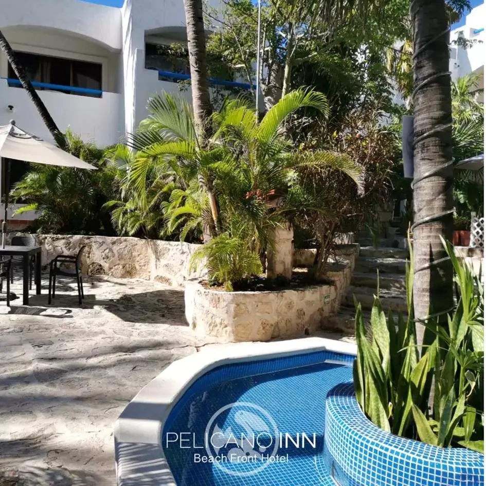 Patio, Swimming Pool in Pelicano Inn Playa del Carmen - Beachfront Hotel