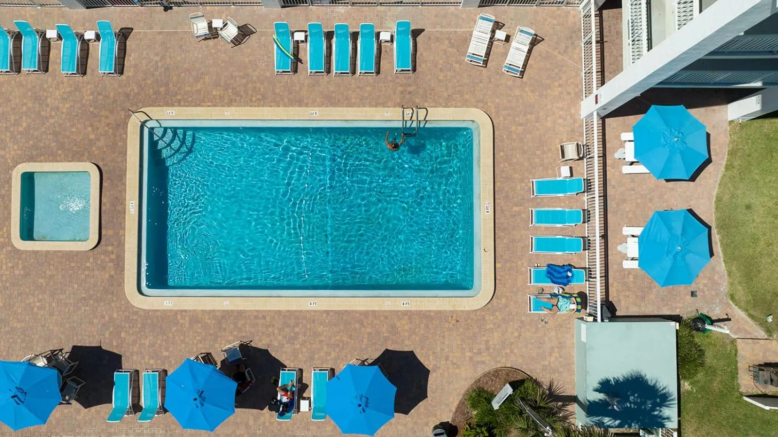 Bird's eye view in Coastal Waters
