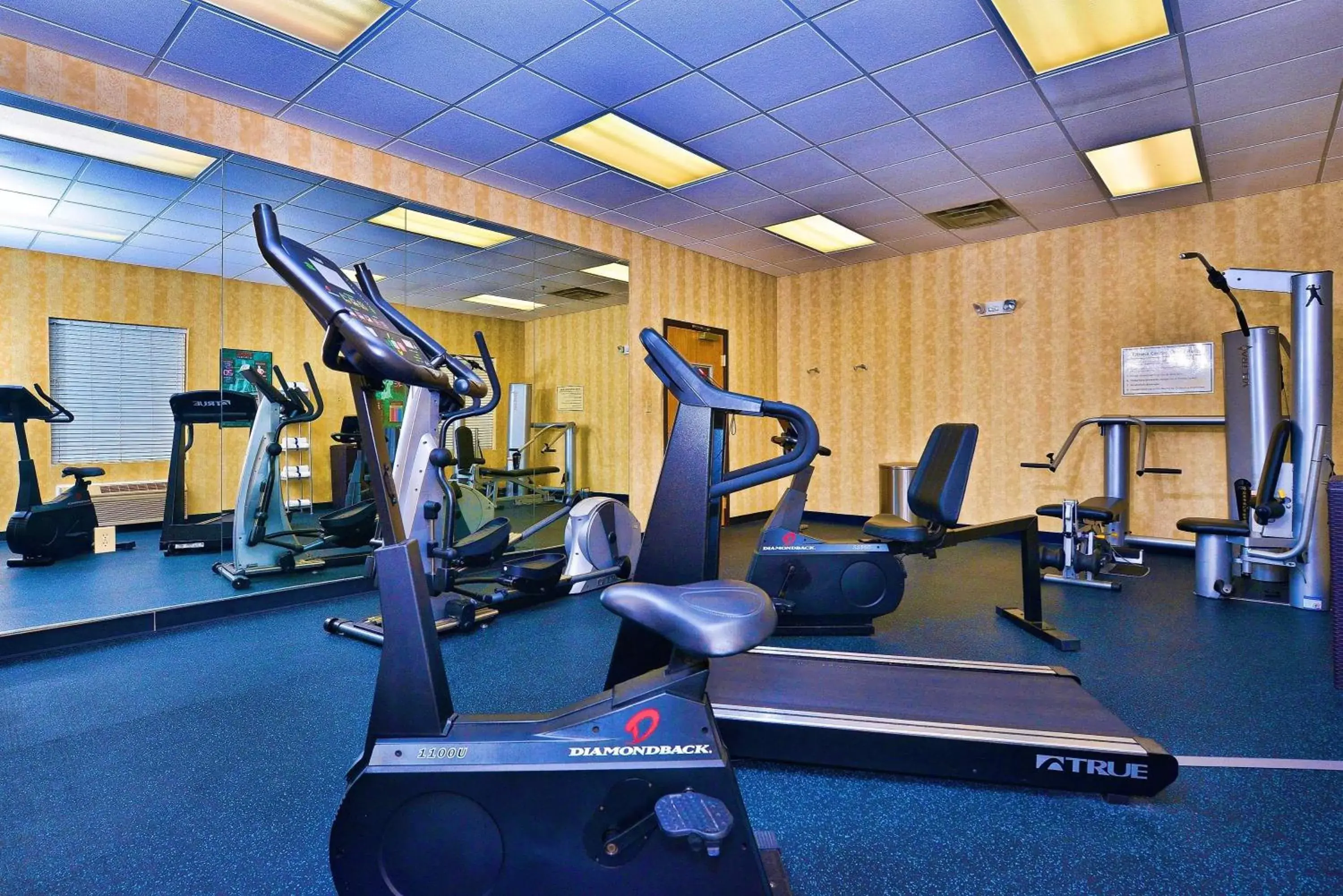 Fitness centre/facilities, Fitness Center/Facilities in Best Western Plus Savannah Airport Inn and Suites