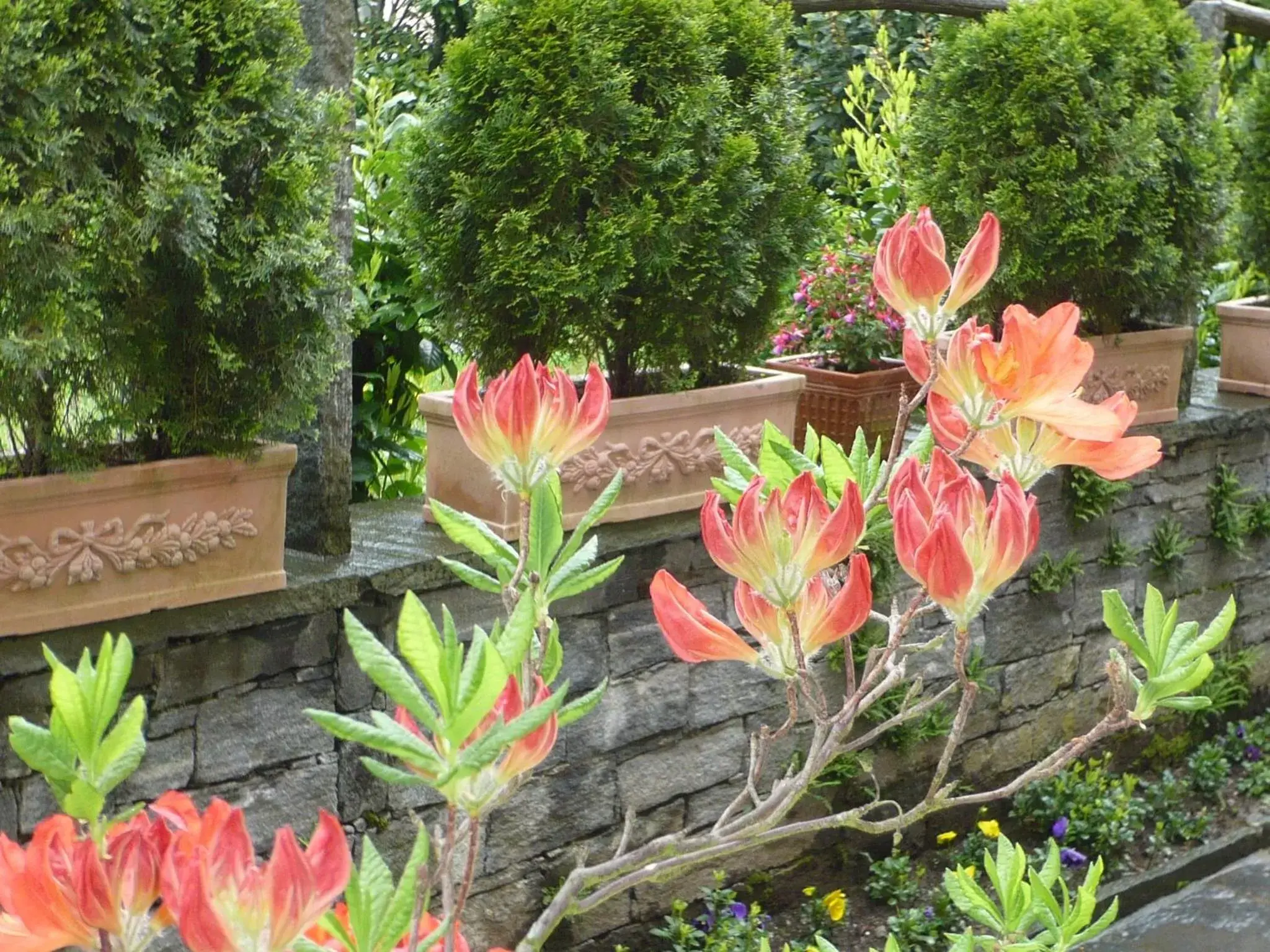 Garden in Garni Villa Siesta Park