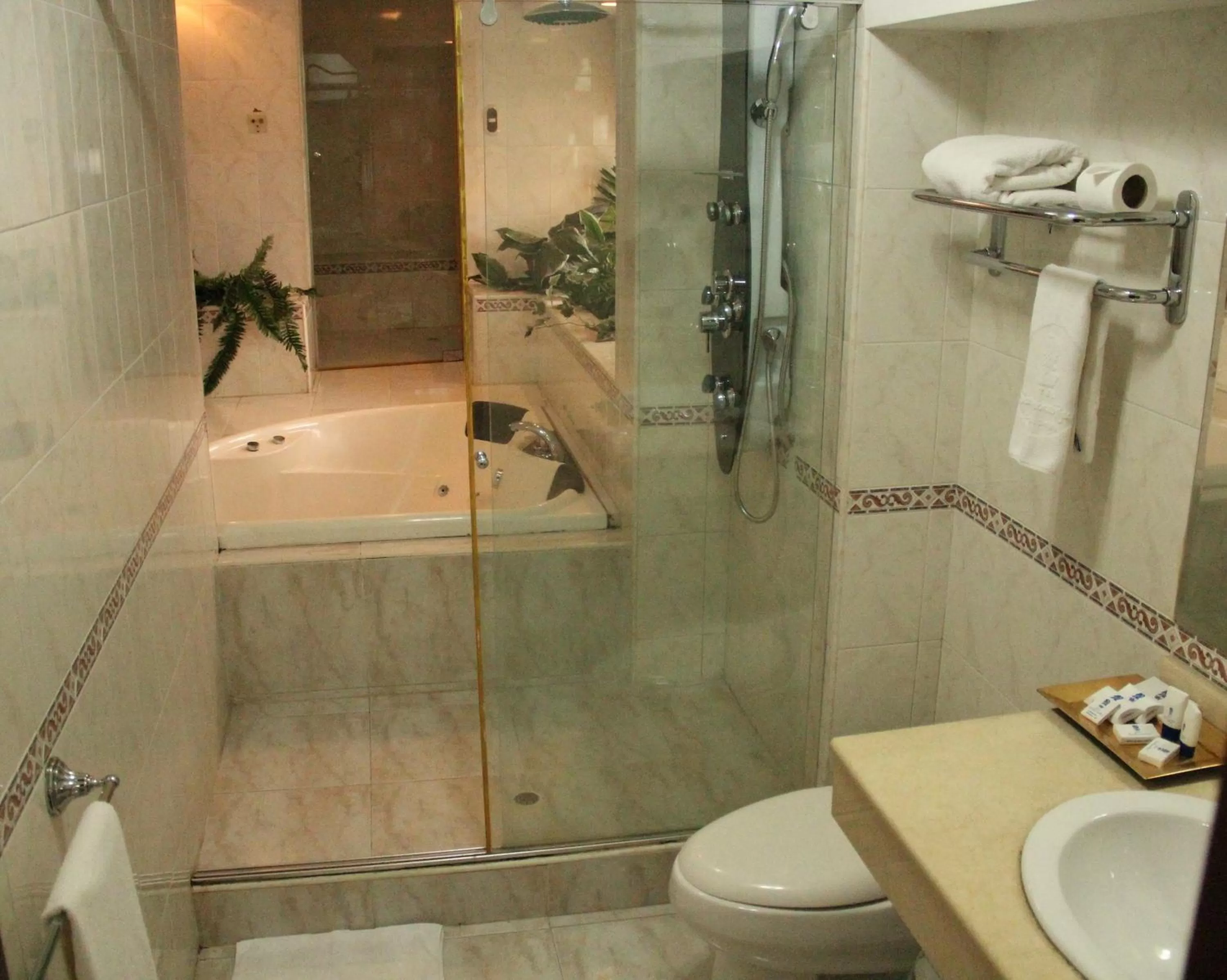 Bathroom in Hotel San Fernando Real