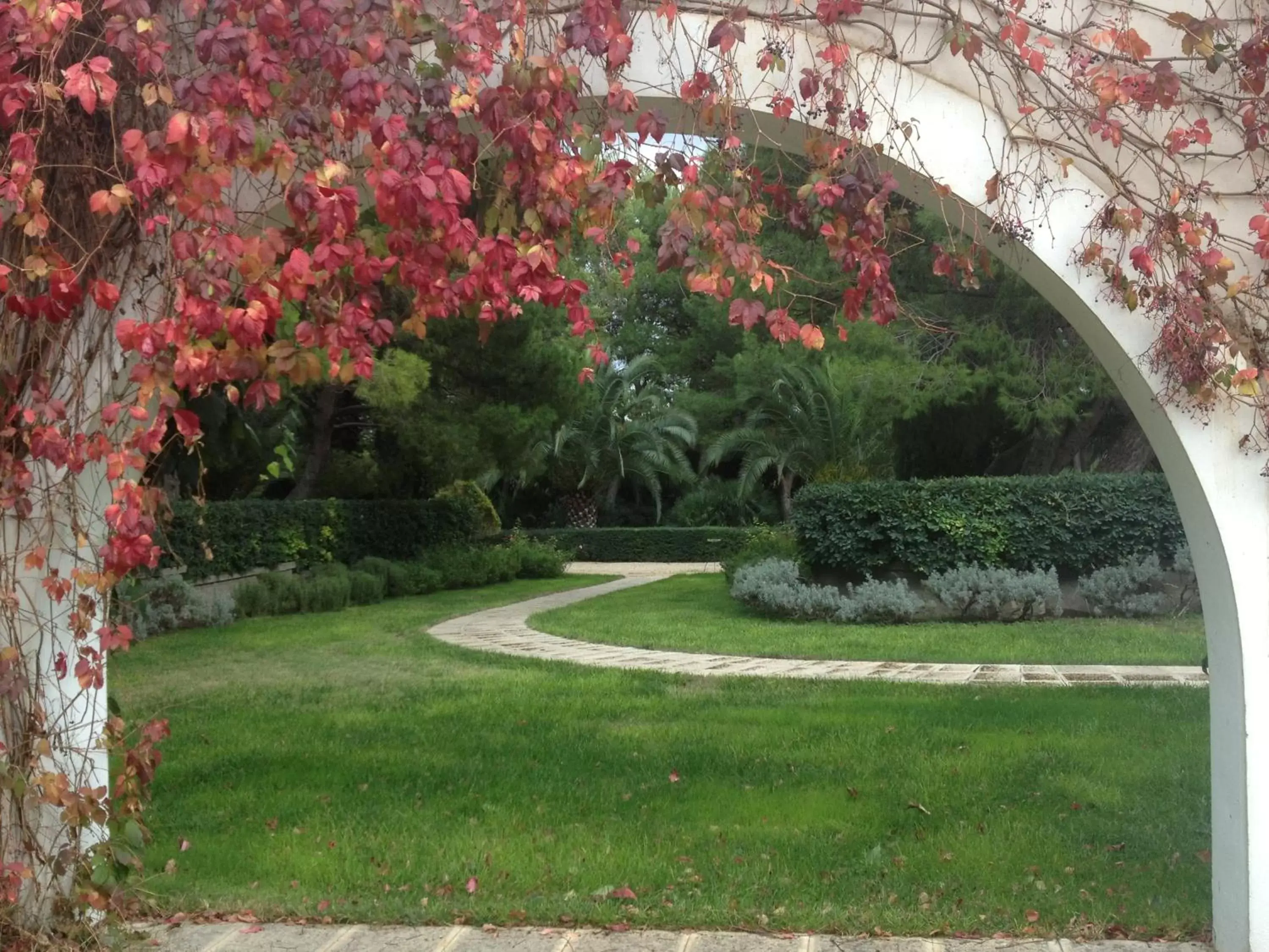 Garden in Casa Freda