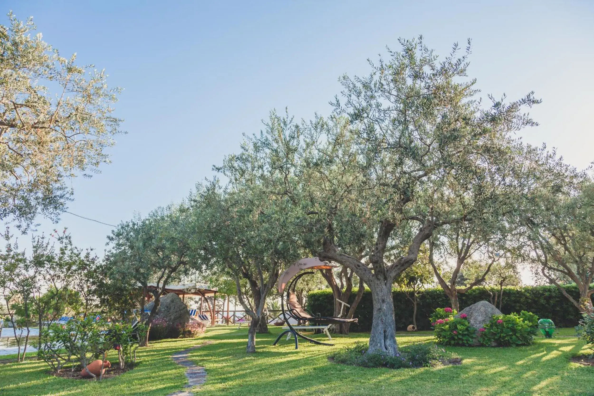 Garden in Hotel Ideal