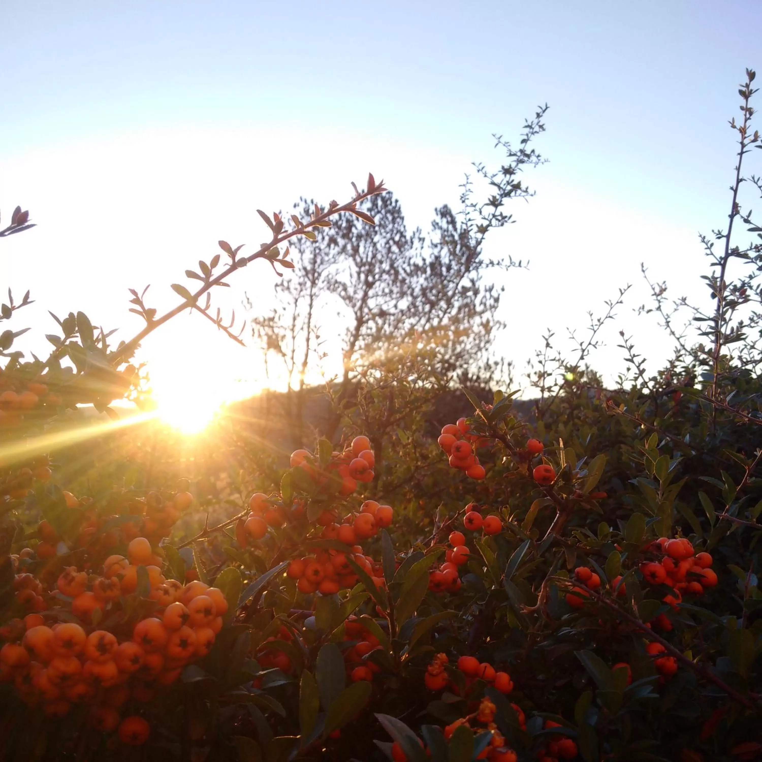Sunrise in Forest Villas Hotel