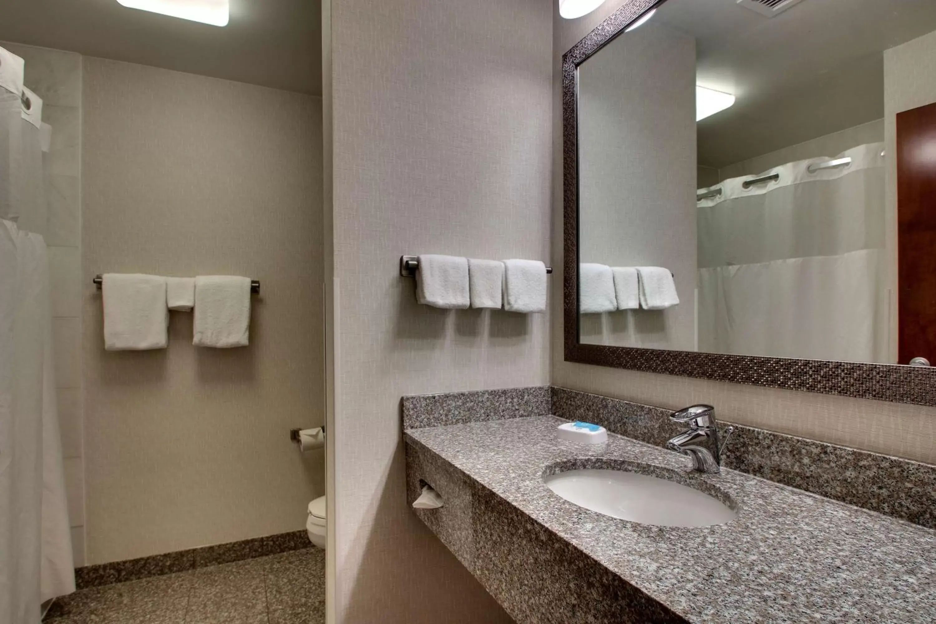 Bathroom in Drury Inn & Suites Findlay