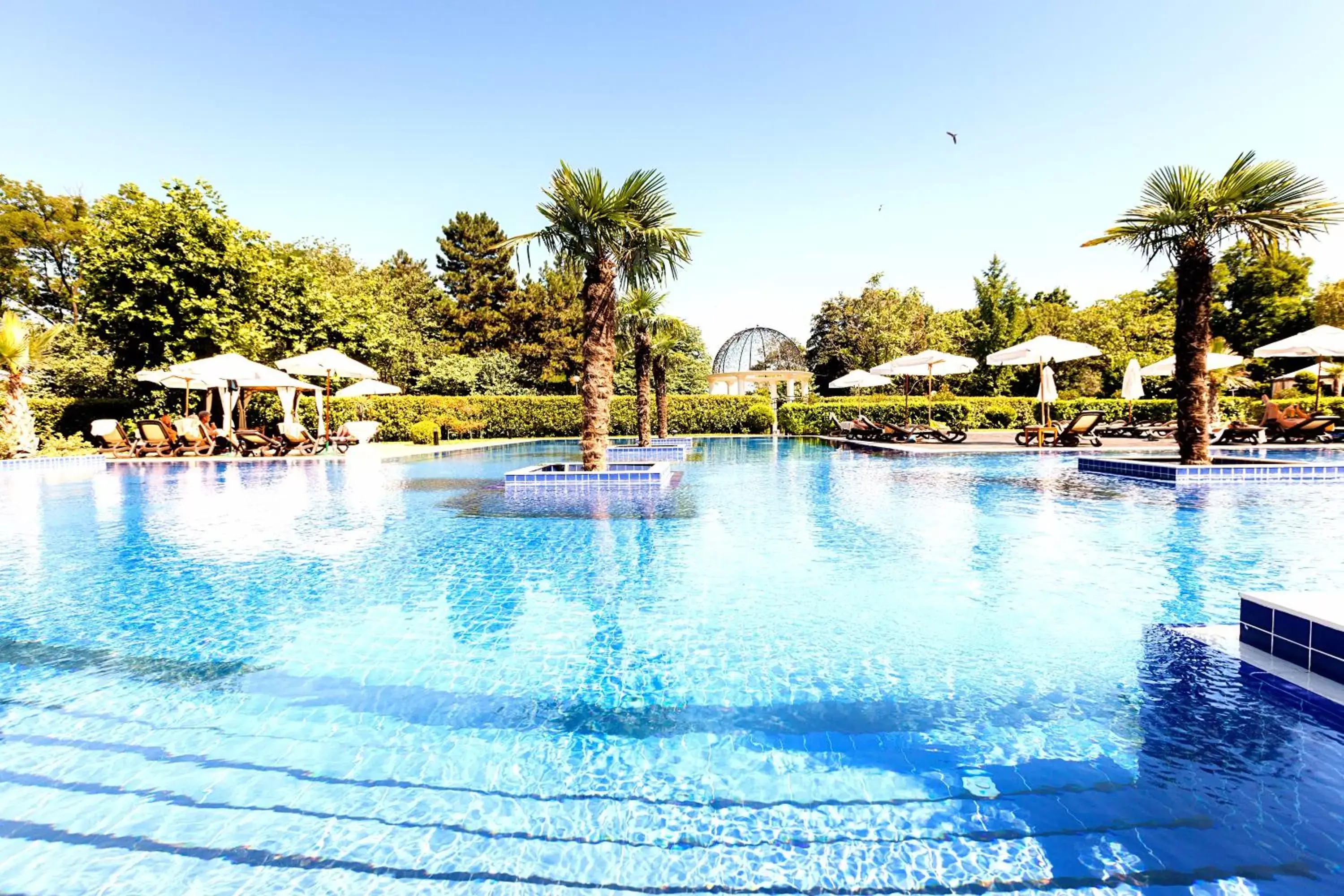 Natural landscape, Swimming Pool in Primoretz Grand Hotel & Spa